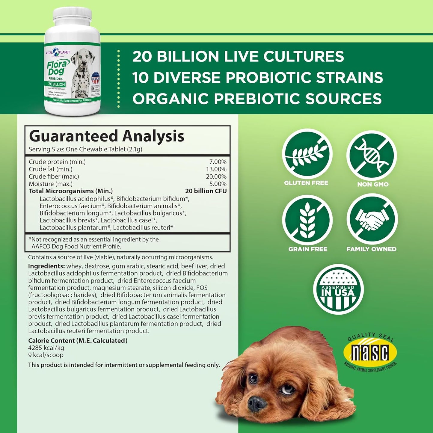 High Potency Probiotic Chewable Tablets for Dogs - 30 Beef Flavored Tablets with 20 Billion Cultures and 10 Strains - Immune and Digestive Support