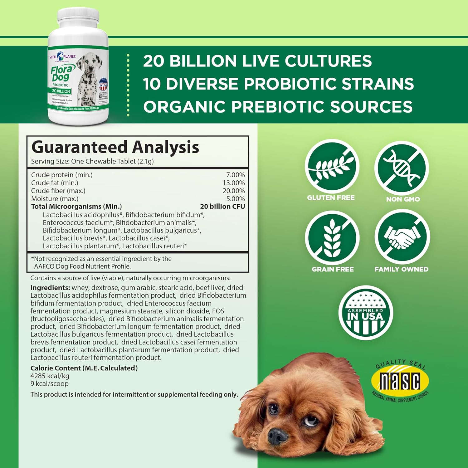 High Potency Probiotic Chewable Tablets for Dogs - 30 Beef Flavored Tablets with 20 Billion Cultures and 10 Strains - Immune and Digestive Support
