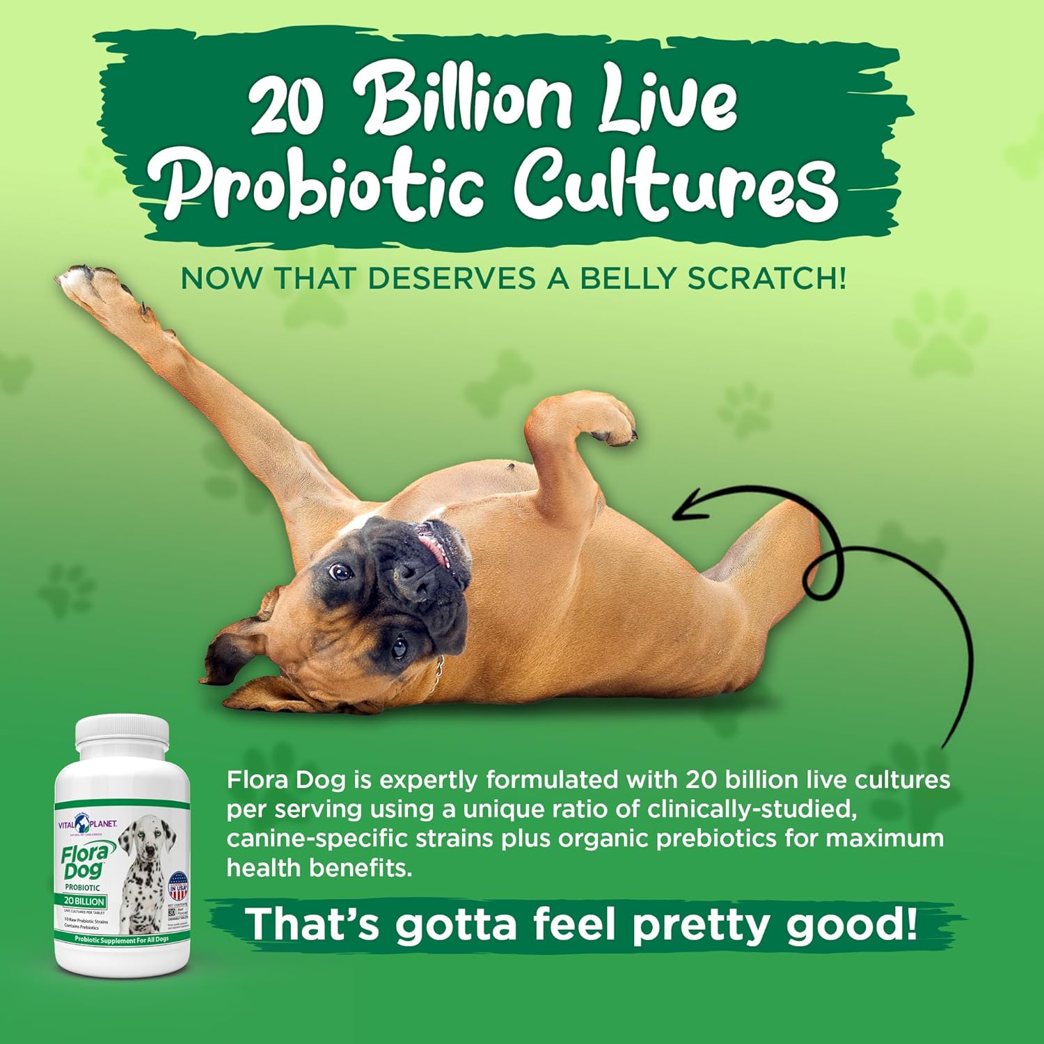 High Potency Probiotic Chewable Tablets for Dogs - 30 Beef Flavored Tablets with 20 Billion Cultures and 10 Strains - Immune and Digestive Support