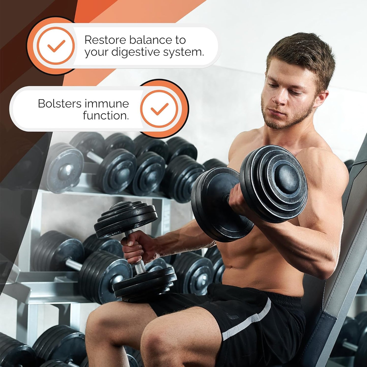 High Potency Probiotic Supplement with 40 Billion CFU - Wunderfit Labs