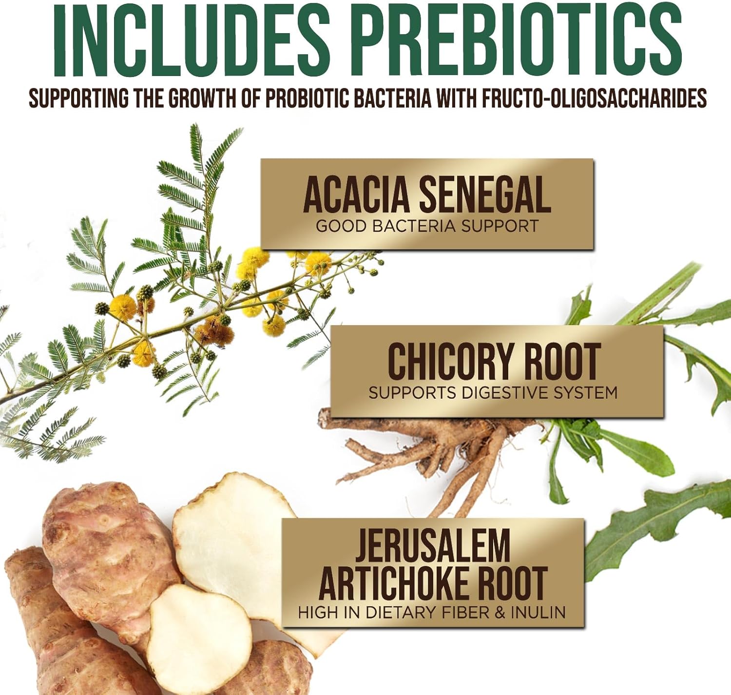 High Potency Probiotic Supplement with Prebiotics for Gut Health - 60 Billion CFU Capsules for Men and Women - Digestive Enzymes, Immune Support - 120 Count