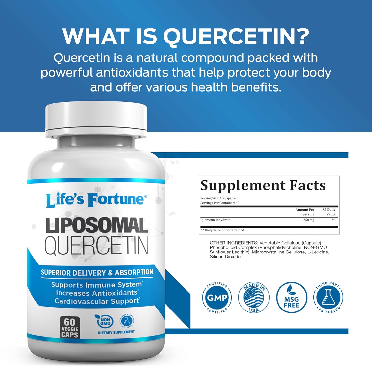 High Potency Quercetin 250 mg Liposomal Flavonoid Supplement for Immune Support - Non GMO, Plant-Based, Gluten Free - 60 Caps