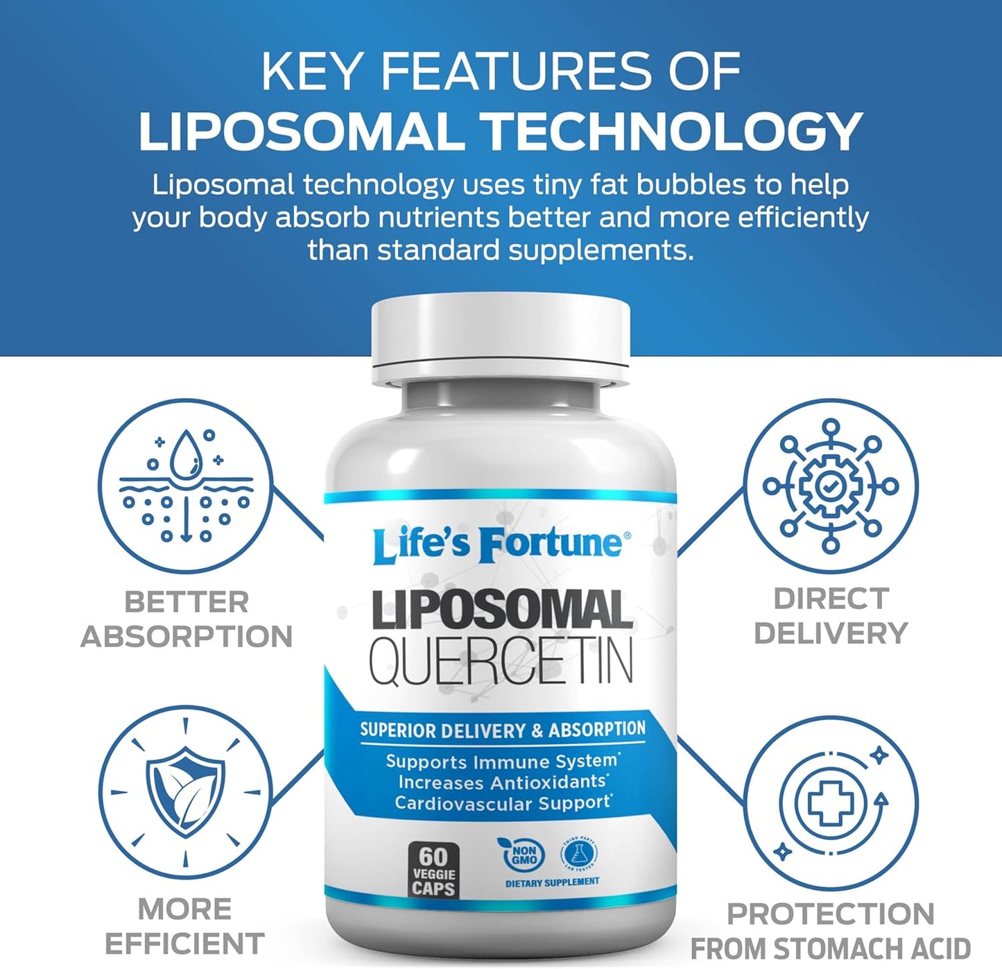 High Potency Quercetin 250 mg Liposomal Flavonoid Supplement for Immune Support - Non GMO, Plant-Based, Gluten Free - 60 Caps