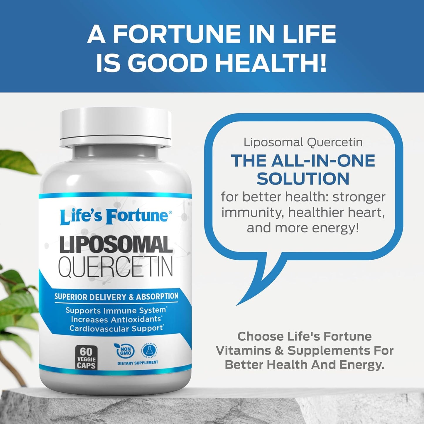 High Potency Quercetin 250 mg Liposomal Flavonoid Supplement for Immune Support - Non GMO, Plant-Based, Gluten Free - 60 Caps
