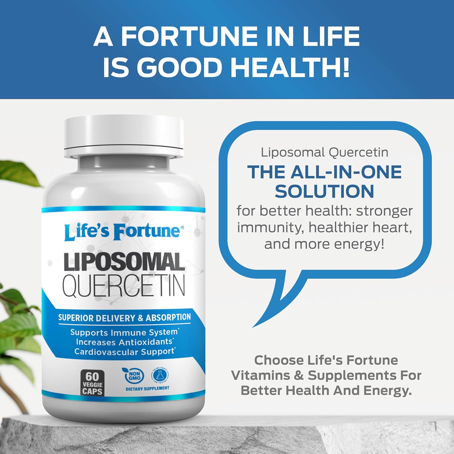 High Potency Quercetin 250 mg Liposomal Flavonoid Supplement for Immune Support - Non GMO, Plant-Based, Gluten Free - 60 Caps