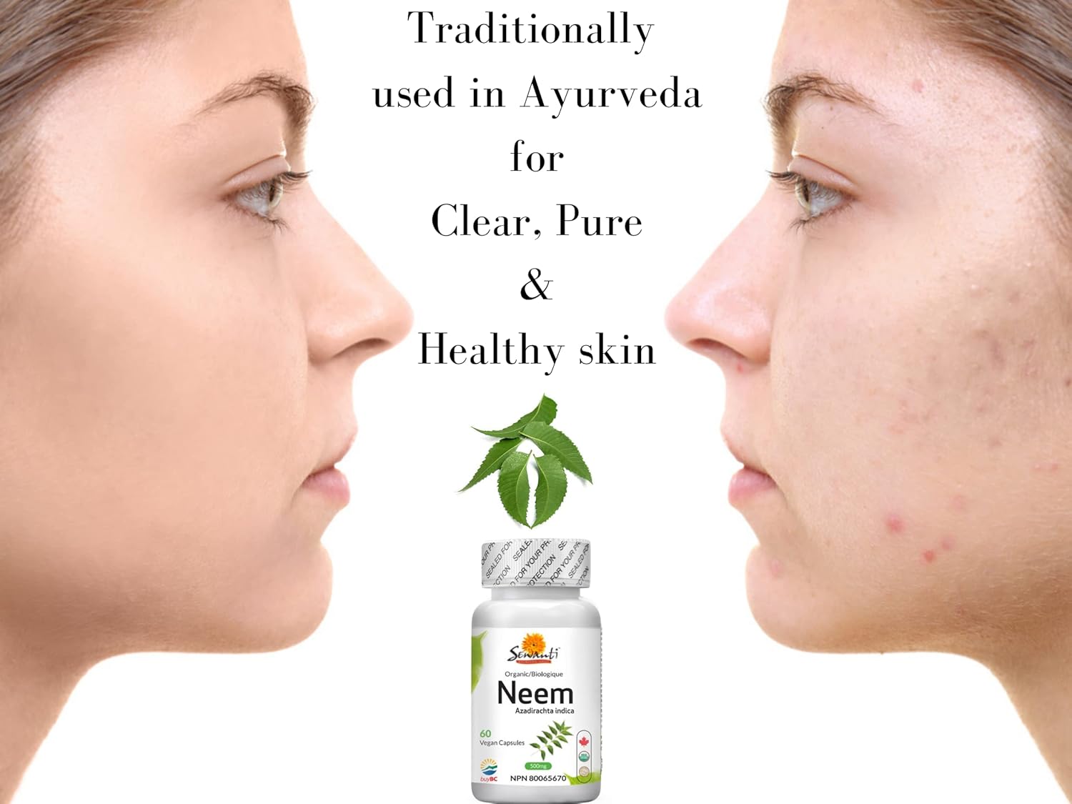 High Potency Sewanti Neem Capsules for Skin Health, Immune Support & Digestive Balance - 500mg Herbal Supplement