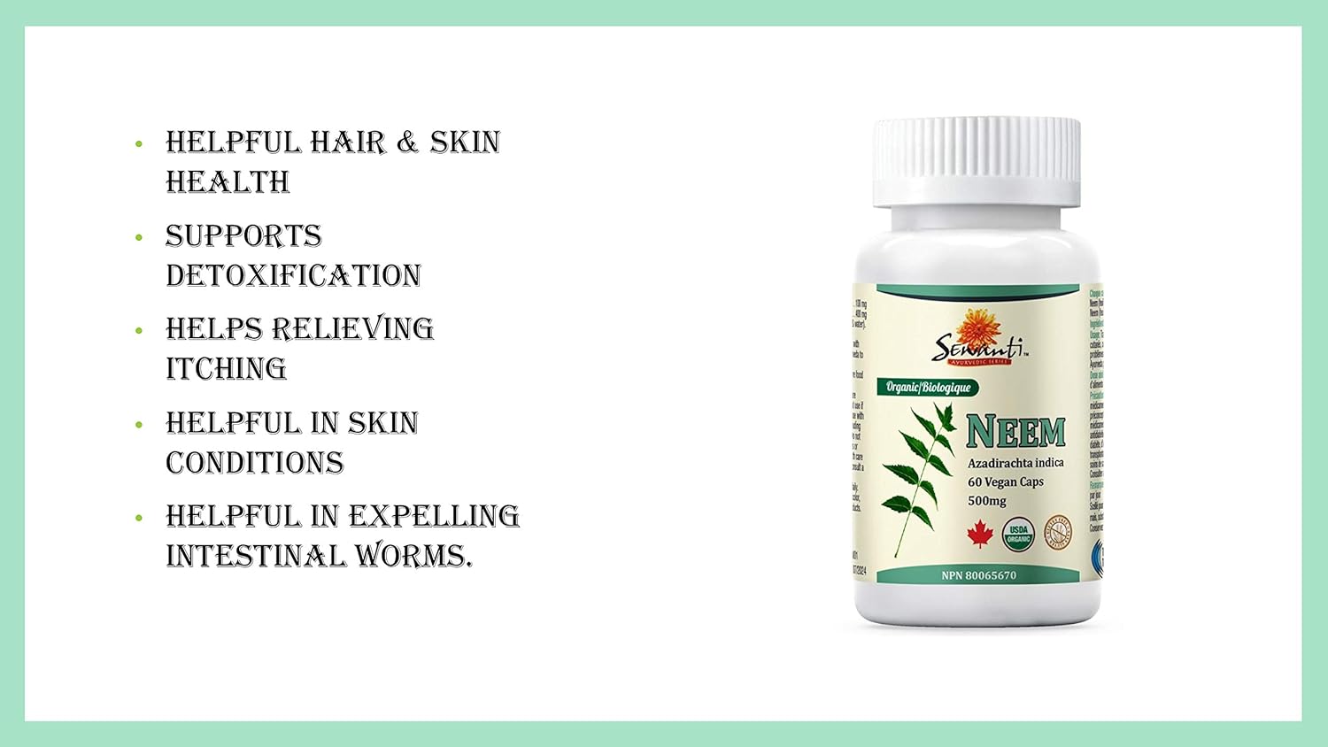 High Potency Sewanti Neem Capsules for Skin Health, Immune Support & Digestive Balance - 500mg Herbal Supplement
