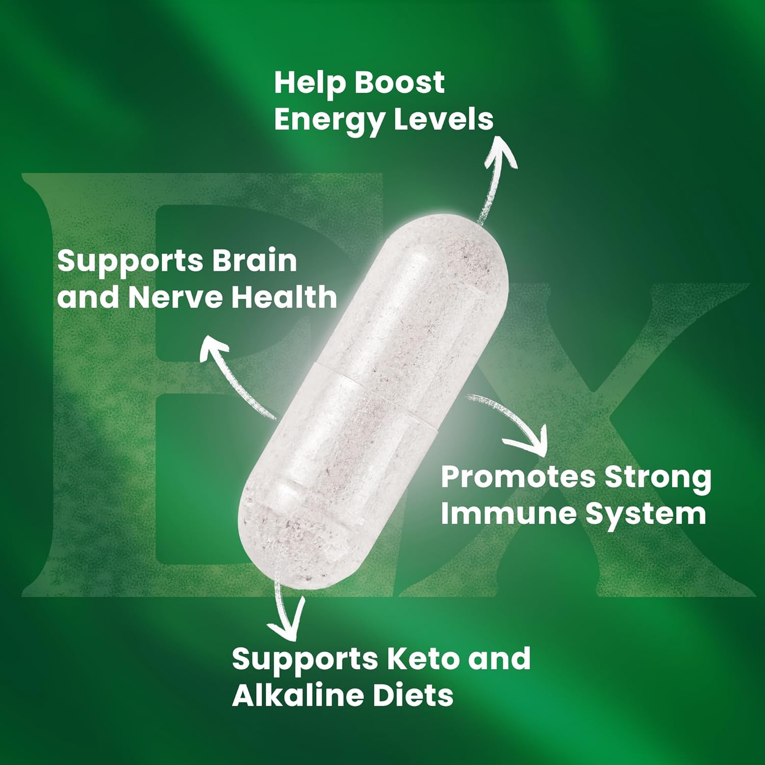 High-Potency Vegan Sea Moss Capsules with Bladderwrack and Burdock Root for Overall Health and Immunity Support - Made in The USA - 60 Superfood Capsules