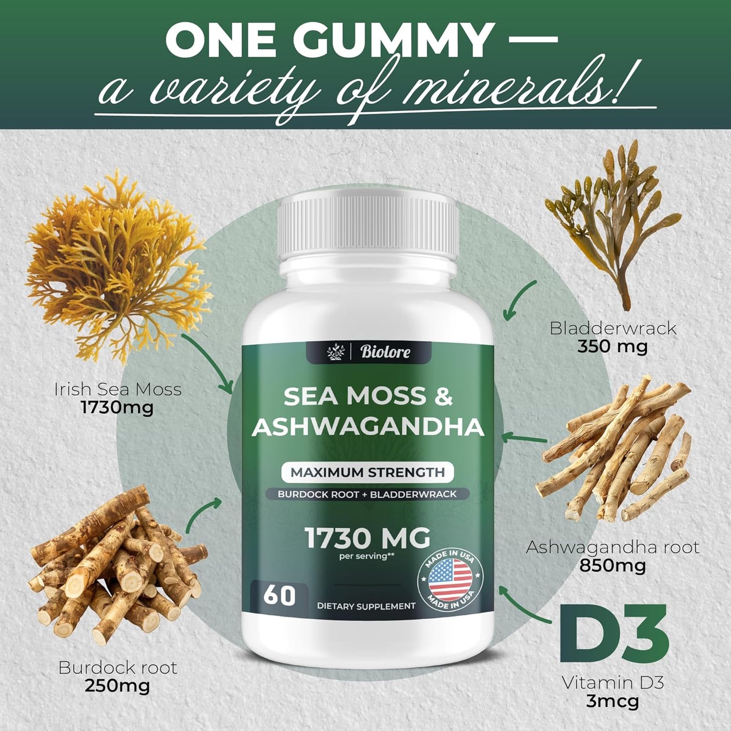 High Potency Vegan Sea Moss Gummies with Ashwagandha - 1730 MG, Irish Sea Moss, Burdock Root, Bladderwrack Extract for Digestive & Immune Support - Non-GMO, Gluten-Free (60 Count)