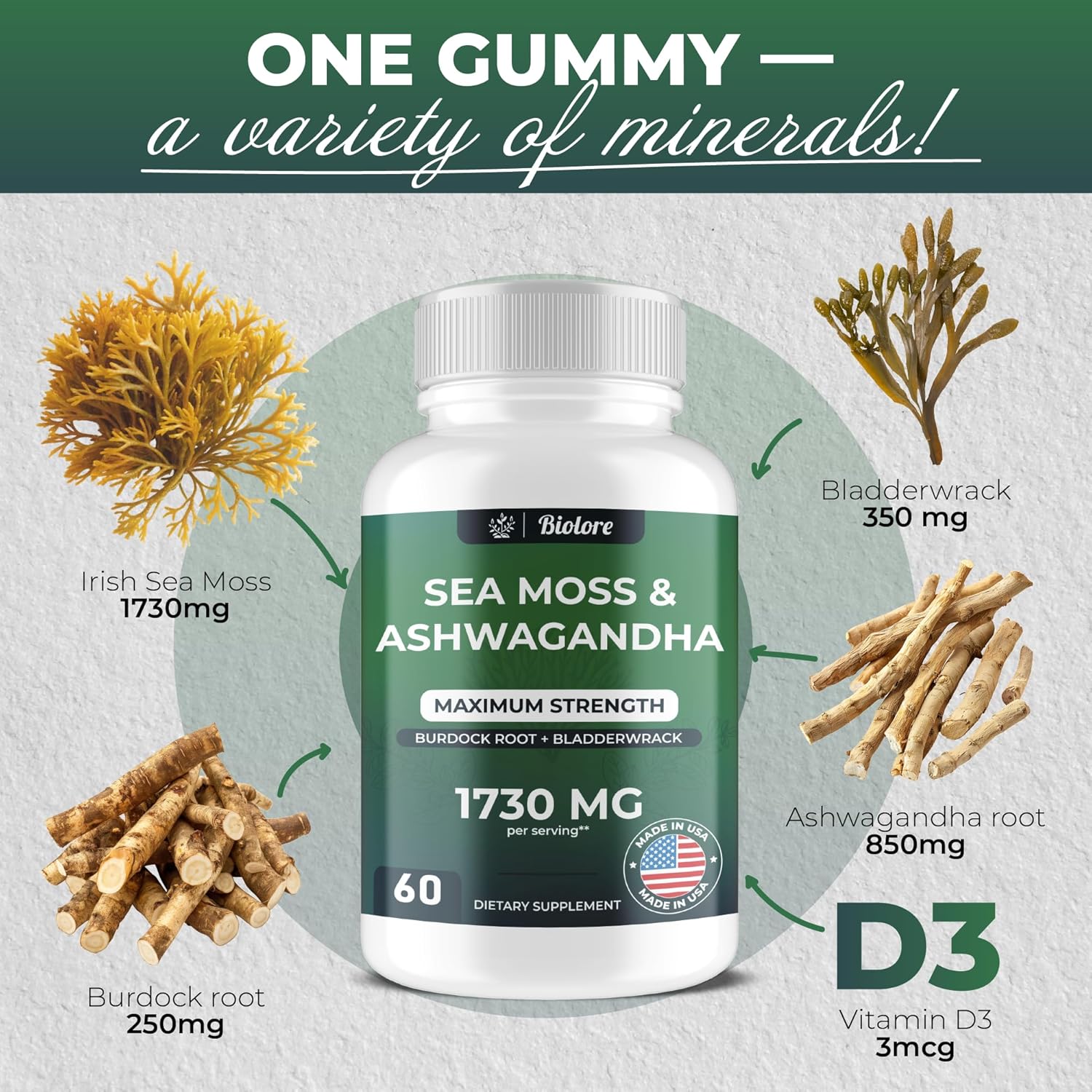High Potency Vegan Sea Moss Gummies with Ashwagandha - 1730 MG, Irish Sea Moss, Burdock Root, Bladderwrack Extract for Digestive & Immune Support - Non-GMO, Gluten-Free (60 Count)