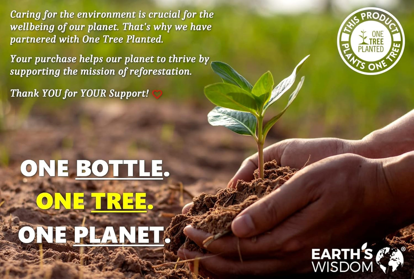 High Potency Vitamin D3 with K2 (MK7) for Bone, Muscle, Heart & Immune Health - 5000 IU, 120 Capsules - Non-GMO, Gluten & Dairy Free - Made in USA