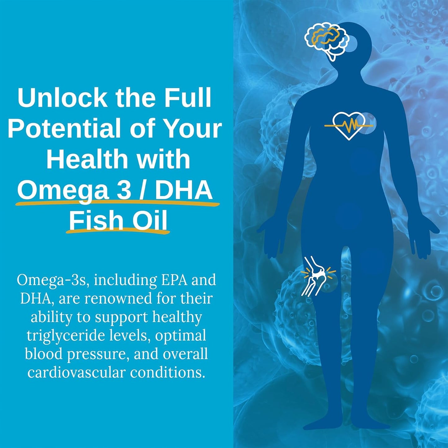 High Potency Xtendlife Omega 3 DHA Fish Oil - 1100mg with 700mg DHA and 300mg EPA - Heart and Brain Support - 60 Softgels