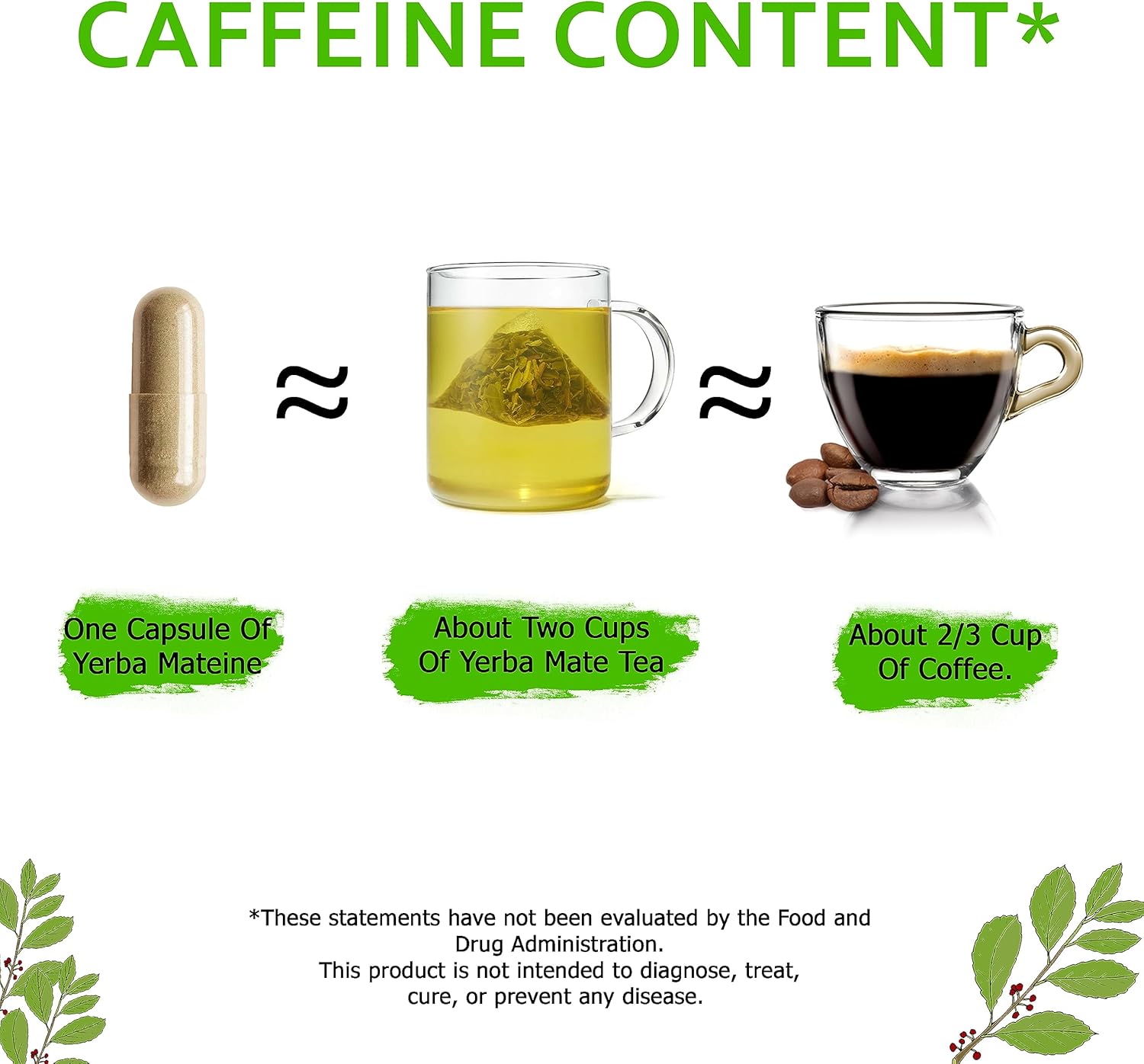 High Potency Yerba Mateine Extract Pills - 6000mg Strength, 60mg Caffeine, Made in USA - Boost Energy, Focus, Nootropics - 120 Capsules