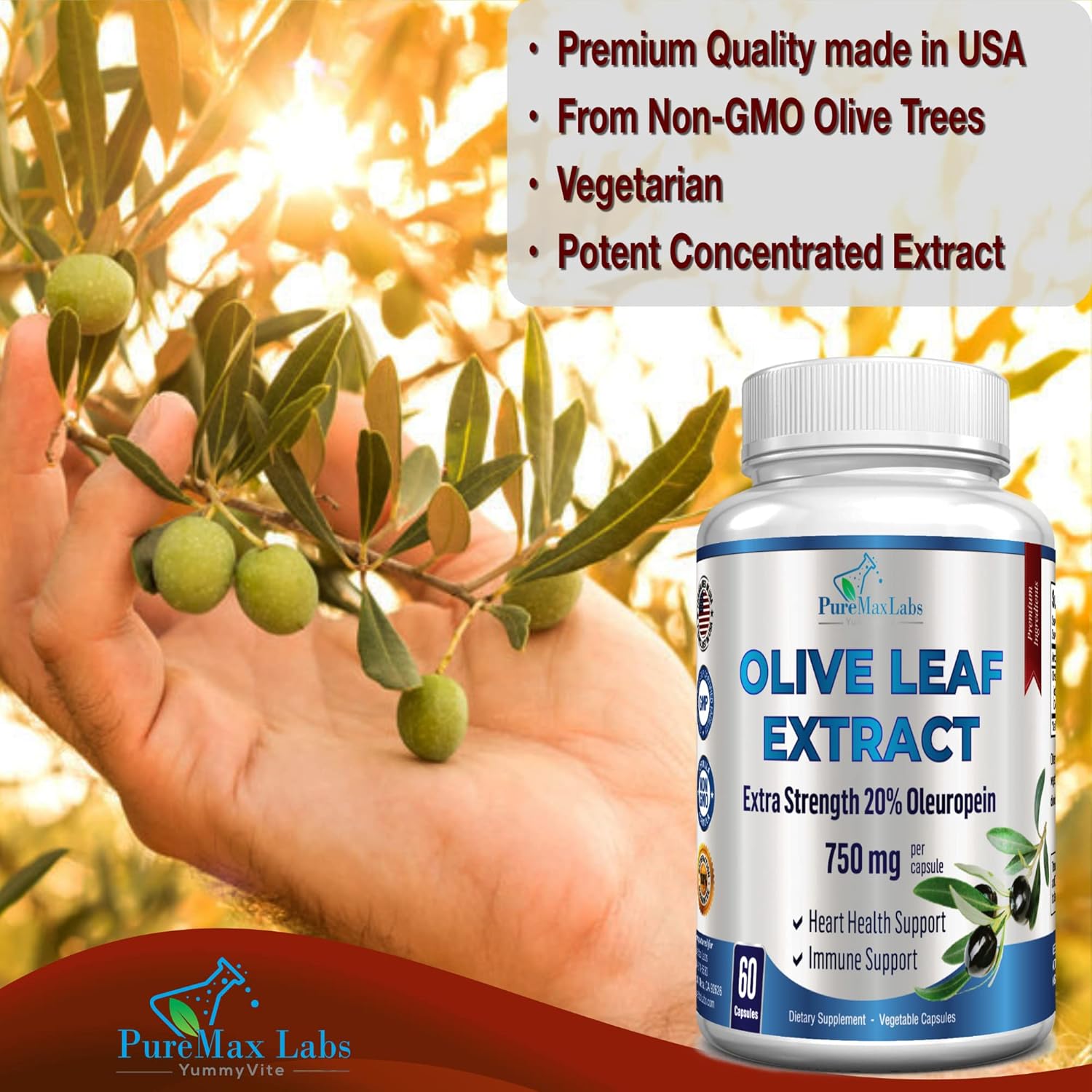 High-Potency YUMMYVITE Olive Leaf Extract Capsules - 20% Oleuropein - 750mg - Vegetarian - Immune Support & Antioxidant - 60 Count - BoostGo Australia