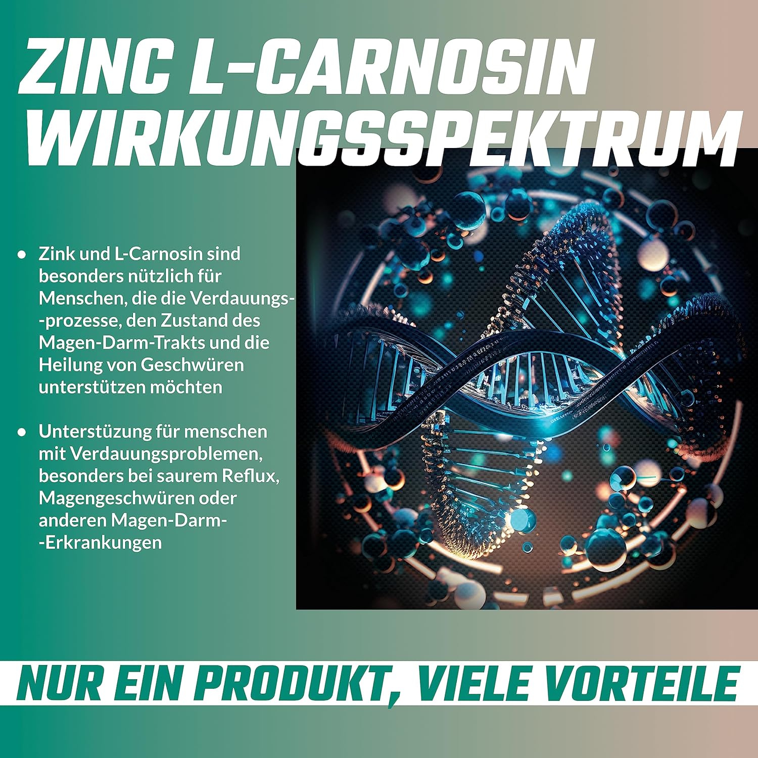 High Potency Zinc L-Carnosine Capsules - 90 Vegan Capsules, 3 Month Supply - Zinc Supplement with Beta-Alanine by Apollo's Hegemony