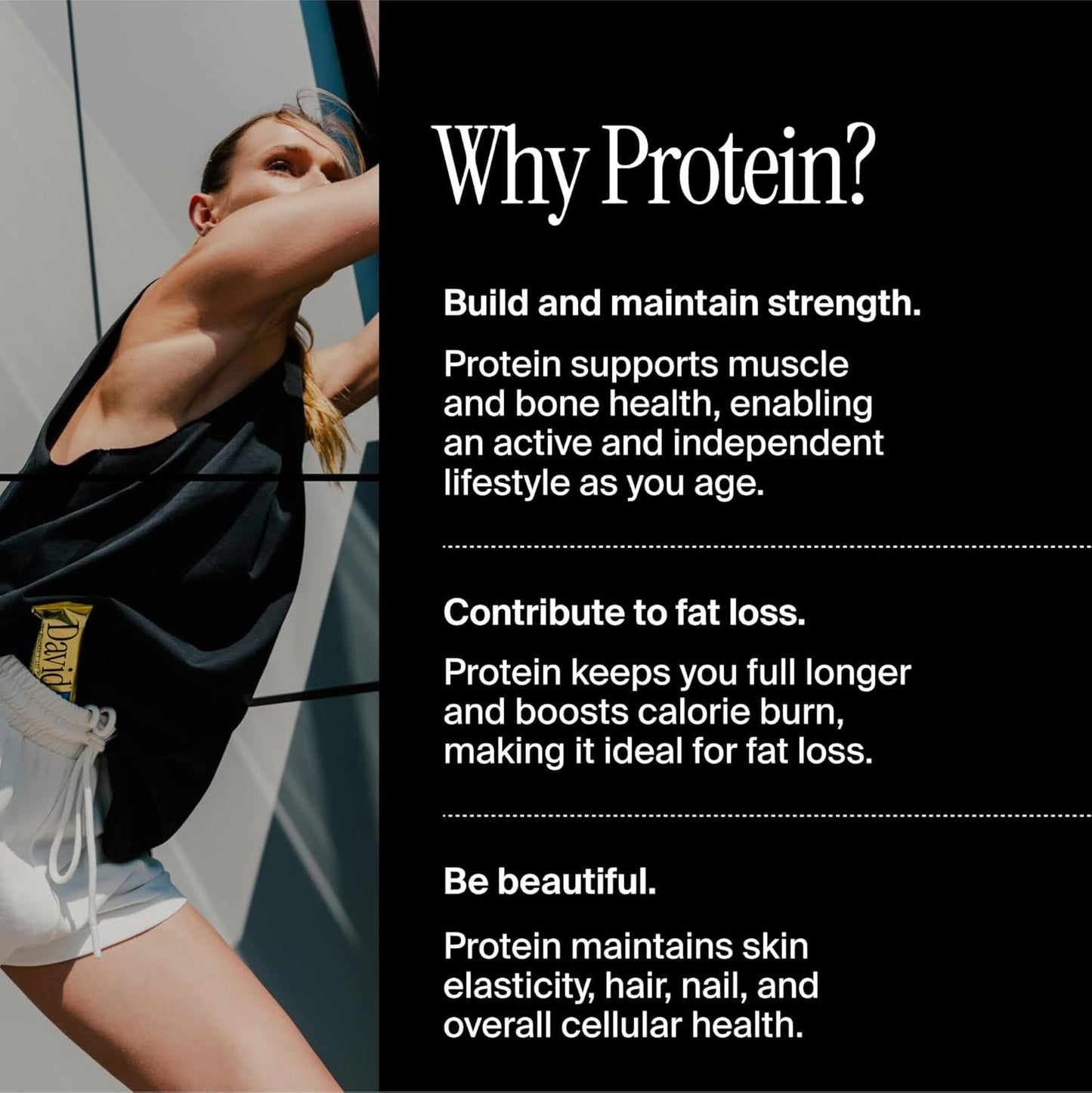 High Protein Salted Peanut Butter Protein Bar - Pack of 12 (28g Protein, 150 Calories, Sugar Free) Gluten Free Low Carb Snack