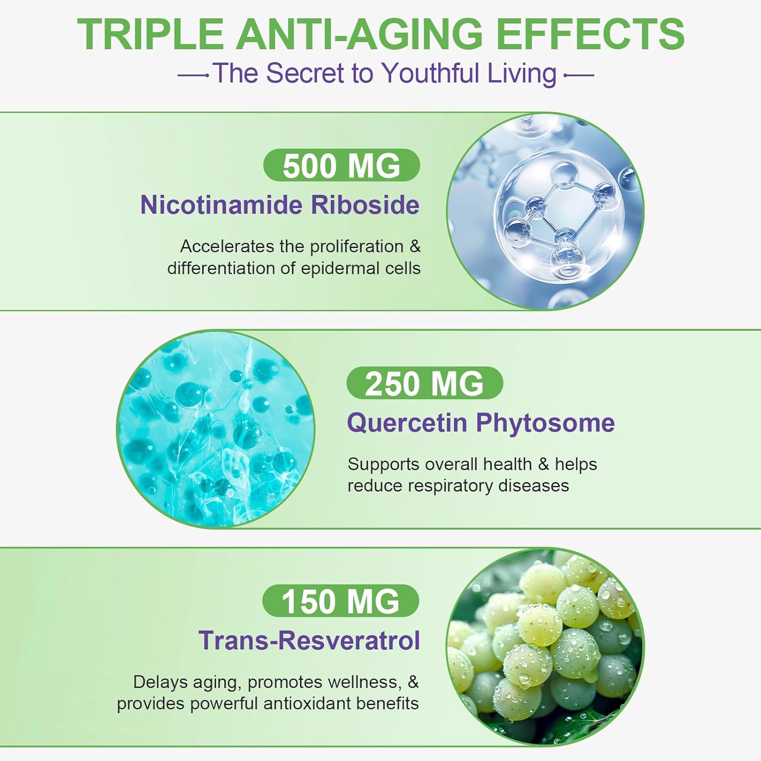 High Purity NAD Plus Supplement Capsules with Resveratrol & Quercetin - 900MG Liposomal Nicotinamide Riboside for Anti-Aging & Energy Boost - 80 Count