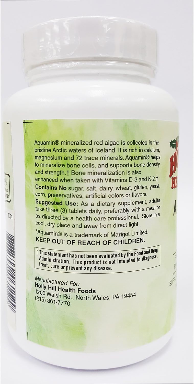 High-Quality Holly Hill Health Foods Algae Calcium Supplement 1,000 mg - 90 Tablets