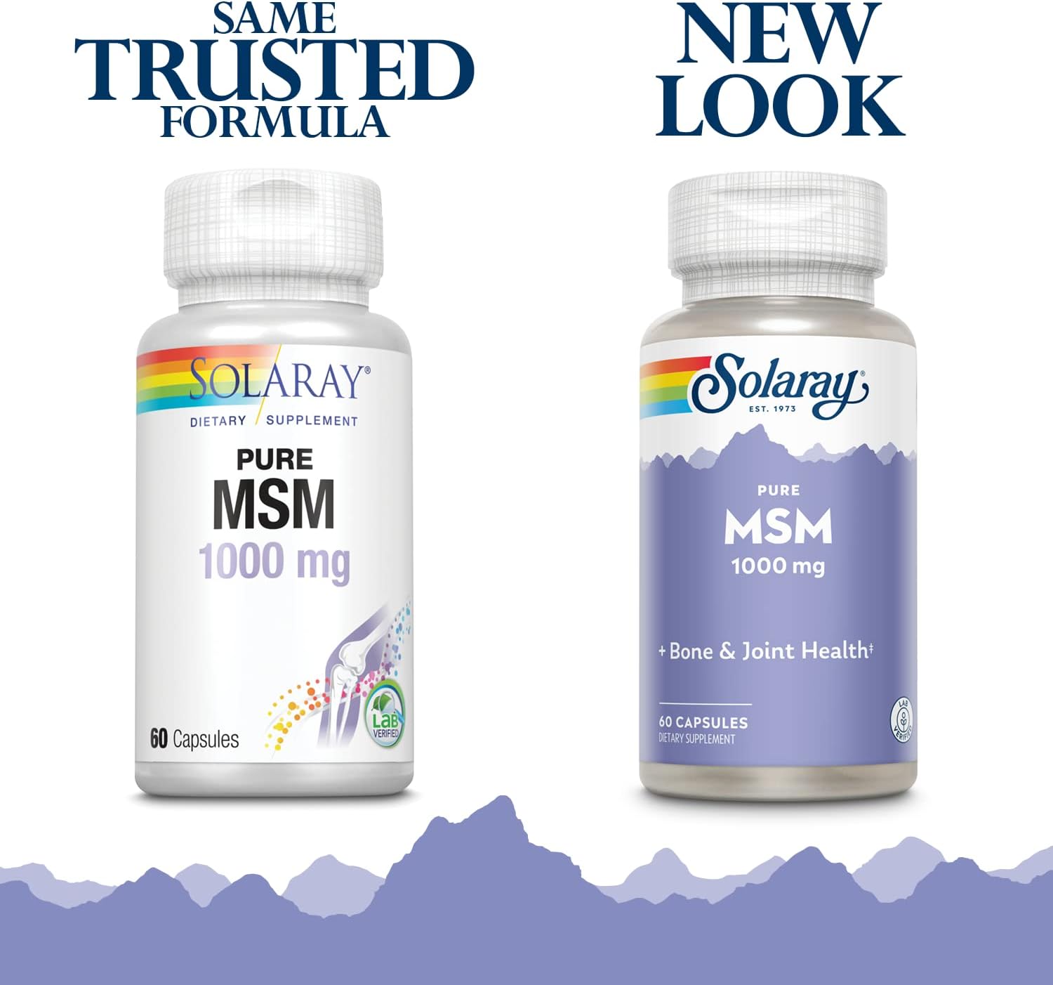 High Quality Solaray Pure MSM Capsules - 1000 mg, 60 Count for Joint Health and Immune Support