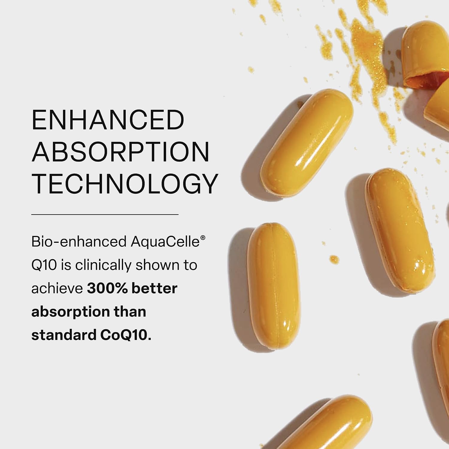 High Strength Activated Vitamin B Complex Supplement for Cellular Energy and Cognition - myBrainCo Active-B (60 Vege-Capsules)