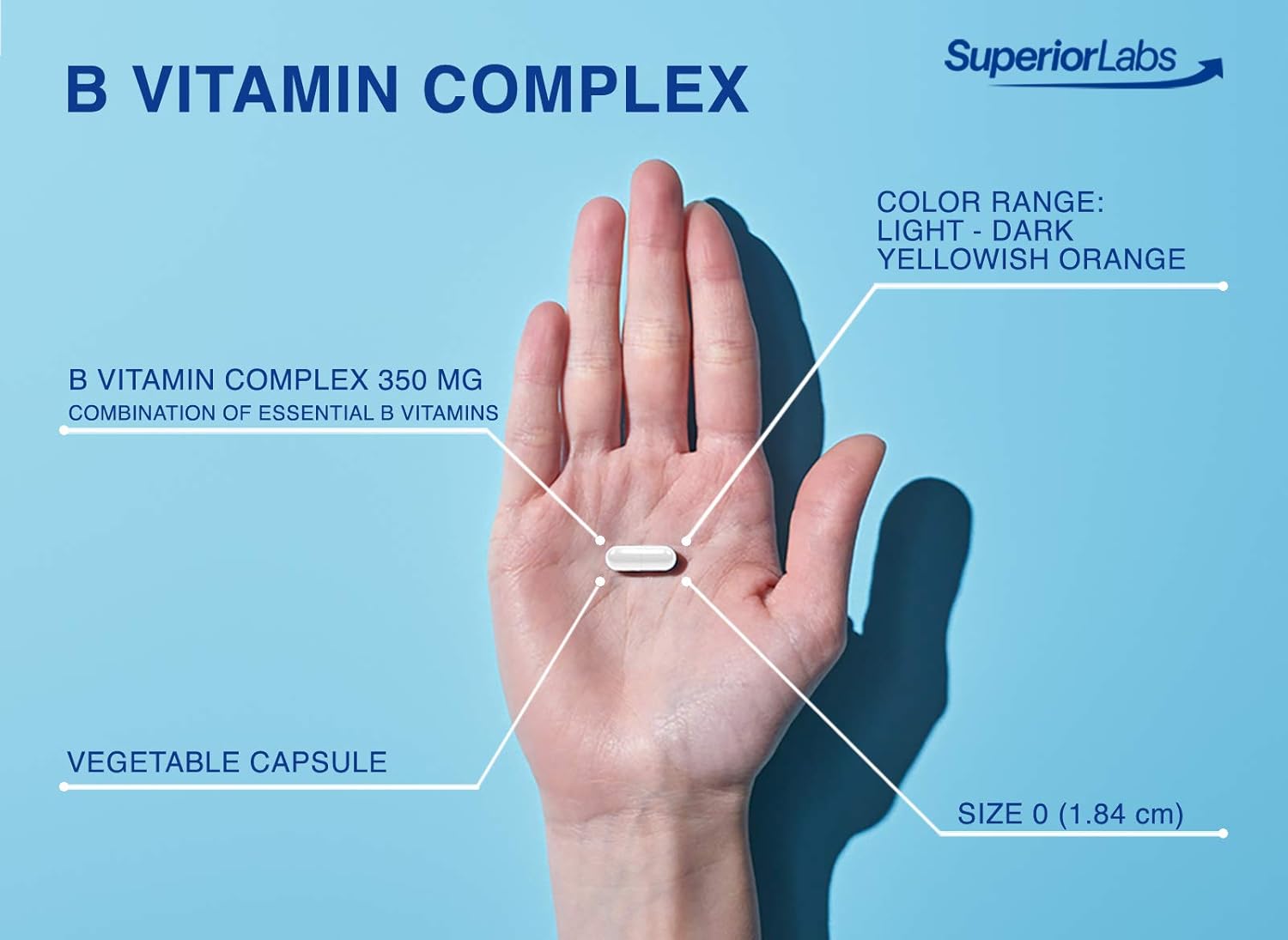 Highly Absorbable B Vitamin Complex by Superior Labs - NonGMO, Additive-Free, Gluten-Free - Supports Digestion and Metabolism - 60 Veggie Capsules