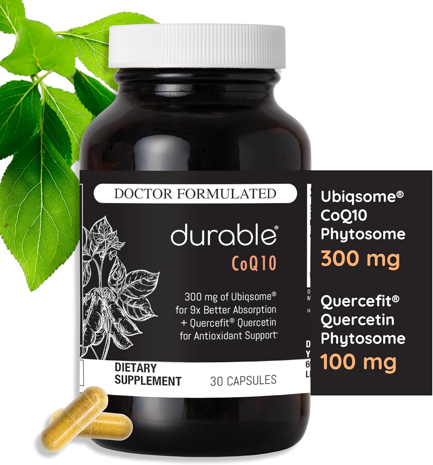 Highly Absorbable CoQ10 Phytosome for Heart Health - 300mg Ubiqsome® CoQ10, Doctor-Formulated, Made in USA, 30 Day Supply