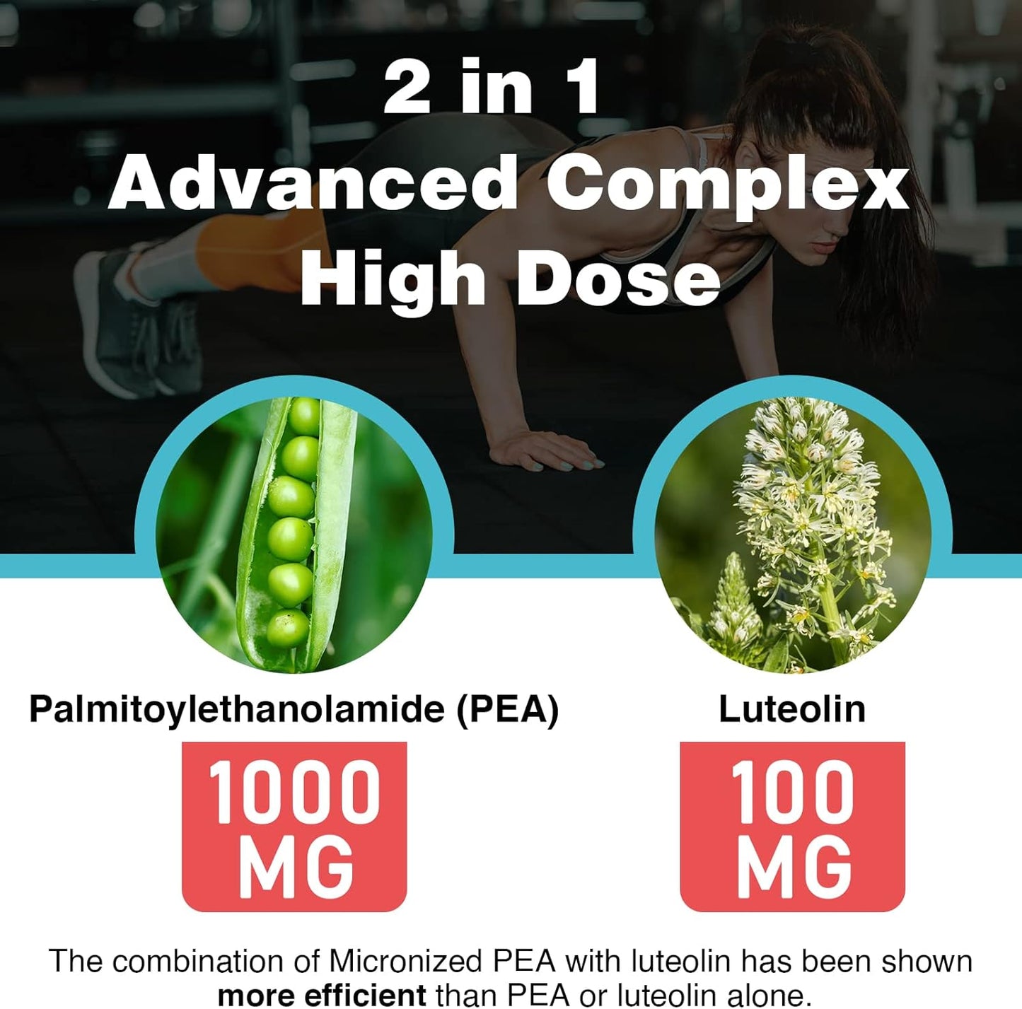 Highly Absorbable Liposomal Palmitoylethanolamide & Luteolin Softgels - 1000mg PEA + 100mg Luteolin, Micronized Pea 99%, 120 Softgels, 120-Day Supply