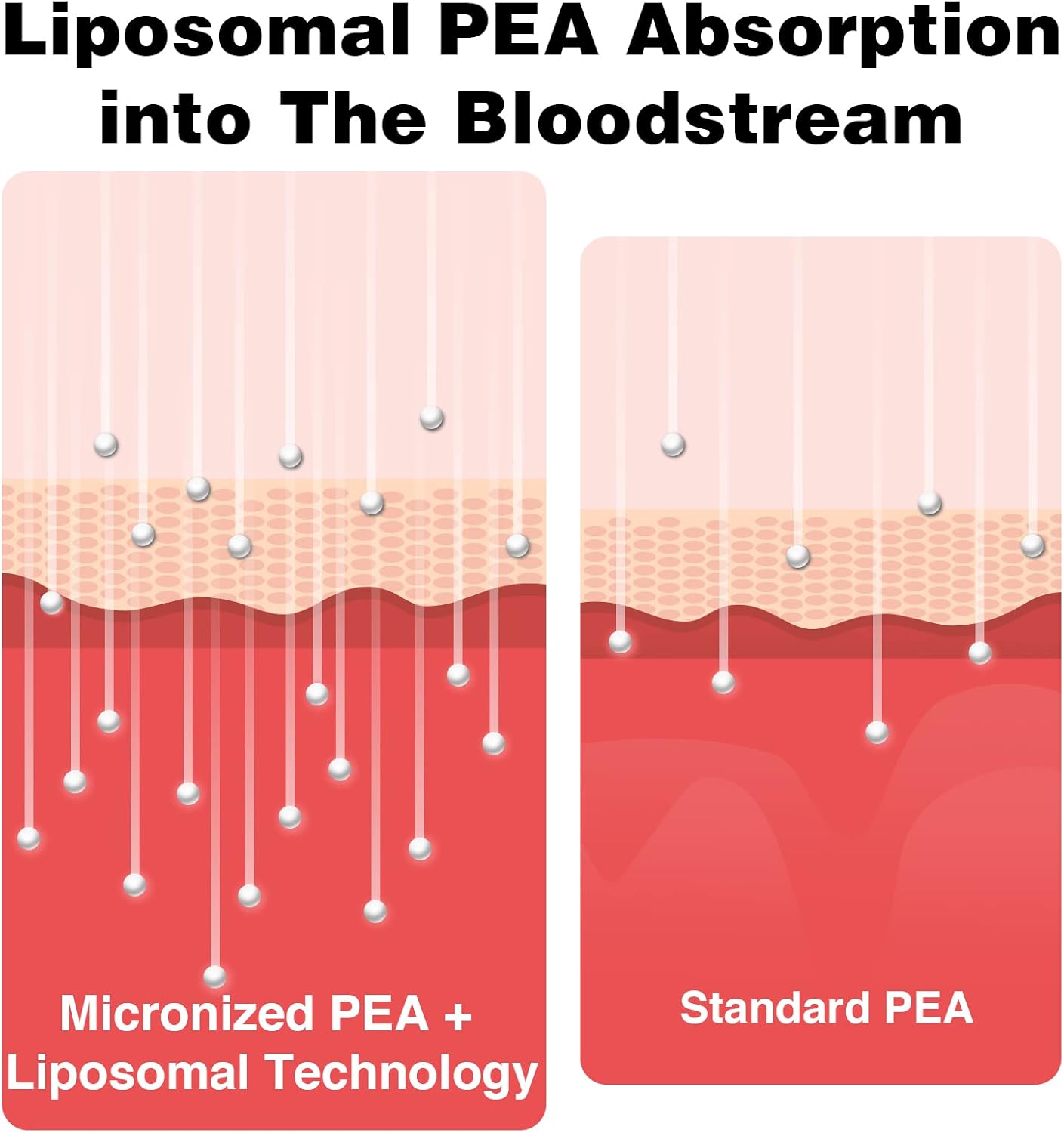 Highly Absorbable Liposomal Palmitoylethanolamide & Luteolin Softgels - 1000mg PEA + 100mg Luteolin, Micronized Pea 99%, 120 Softgels, 120-Day Supply