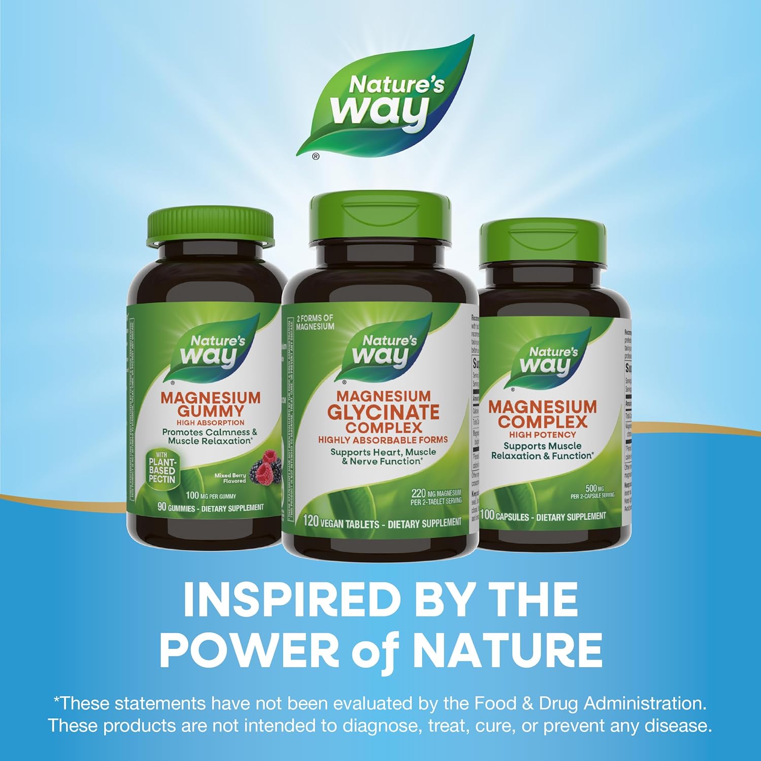 Highly Absorbable Magnesium Glycinate Complex for Heart, Muscle, and Nerve Function - 120 Tablets, Vegan and Gluten Free