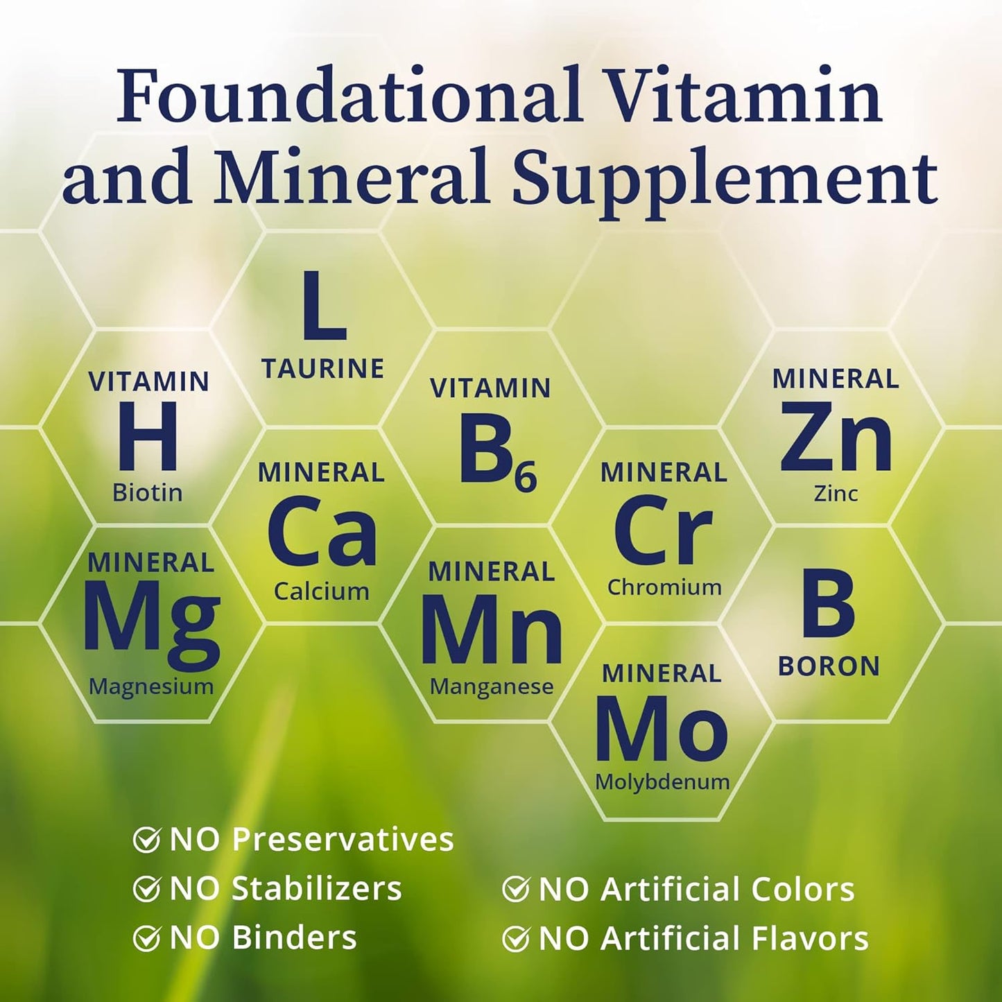 Highly Bioavailable Core Mineral Supplement with Vitamins and Amino Acids - Support Nutritional Maintenance, Optimize Metabolism, Promote Well-Being - 240 Capsules