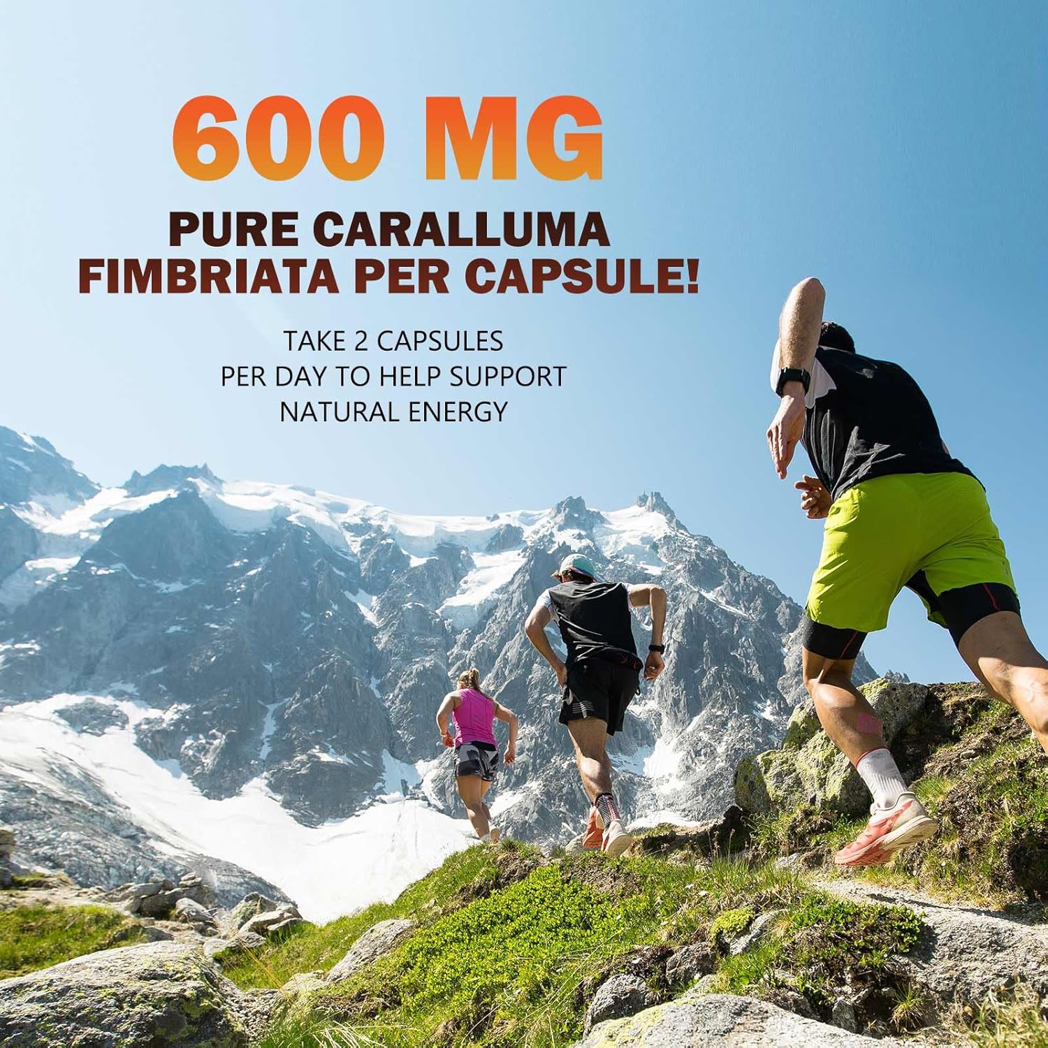 Highly Concentrated Pure Caralluma Fimbriata Extract 1200mg - Vegan Endurance Support Supplement for Men & Women - Non-GMO - 180 Capsules