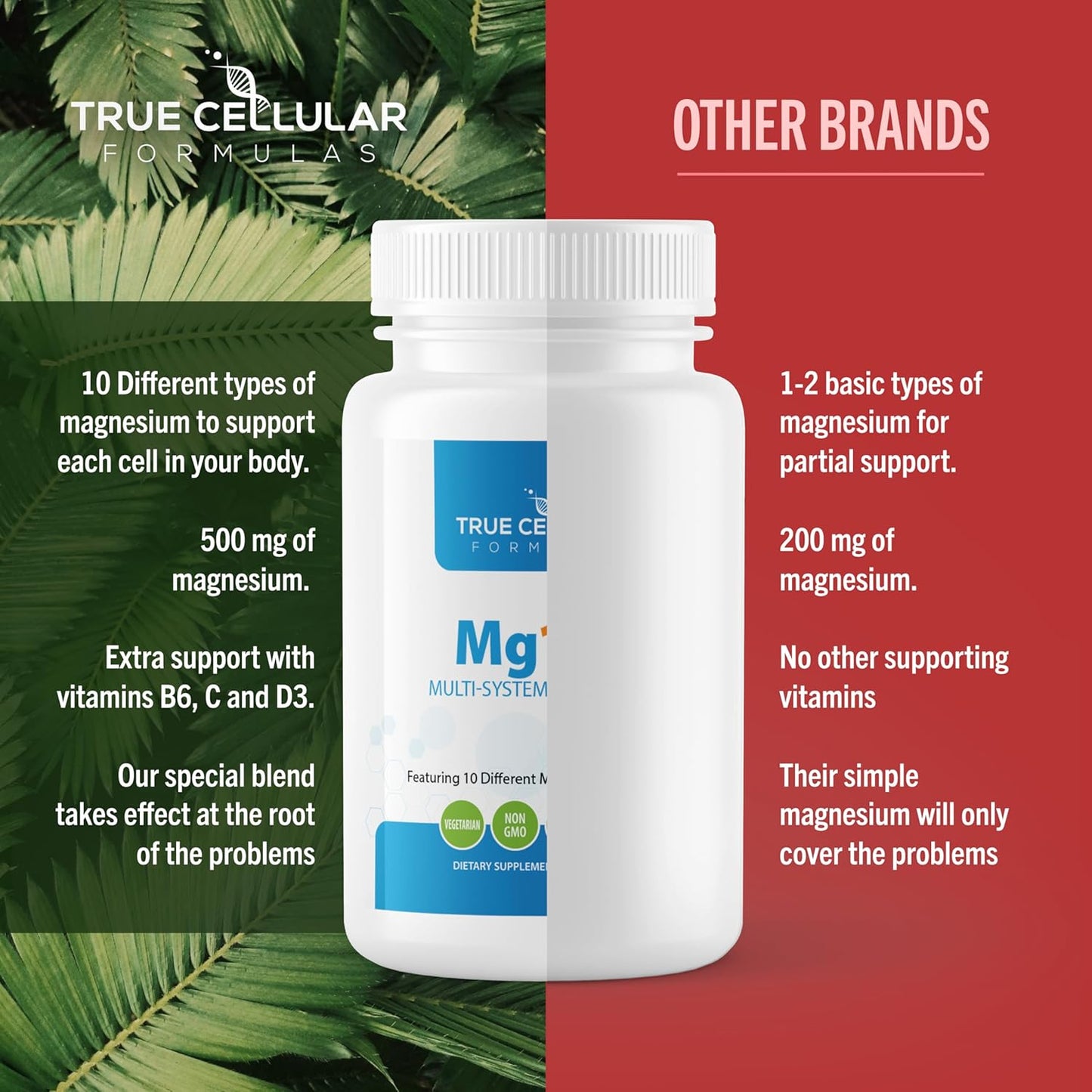 Highly Effective Mg10X Multi-System Magnesium Supplement for Enhanced Sleep and Immune Support - 60 Capsules with Magnesium Glycinate and Citrate
