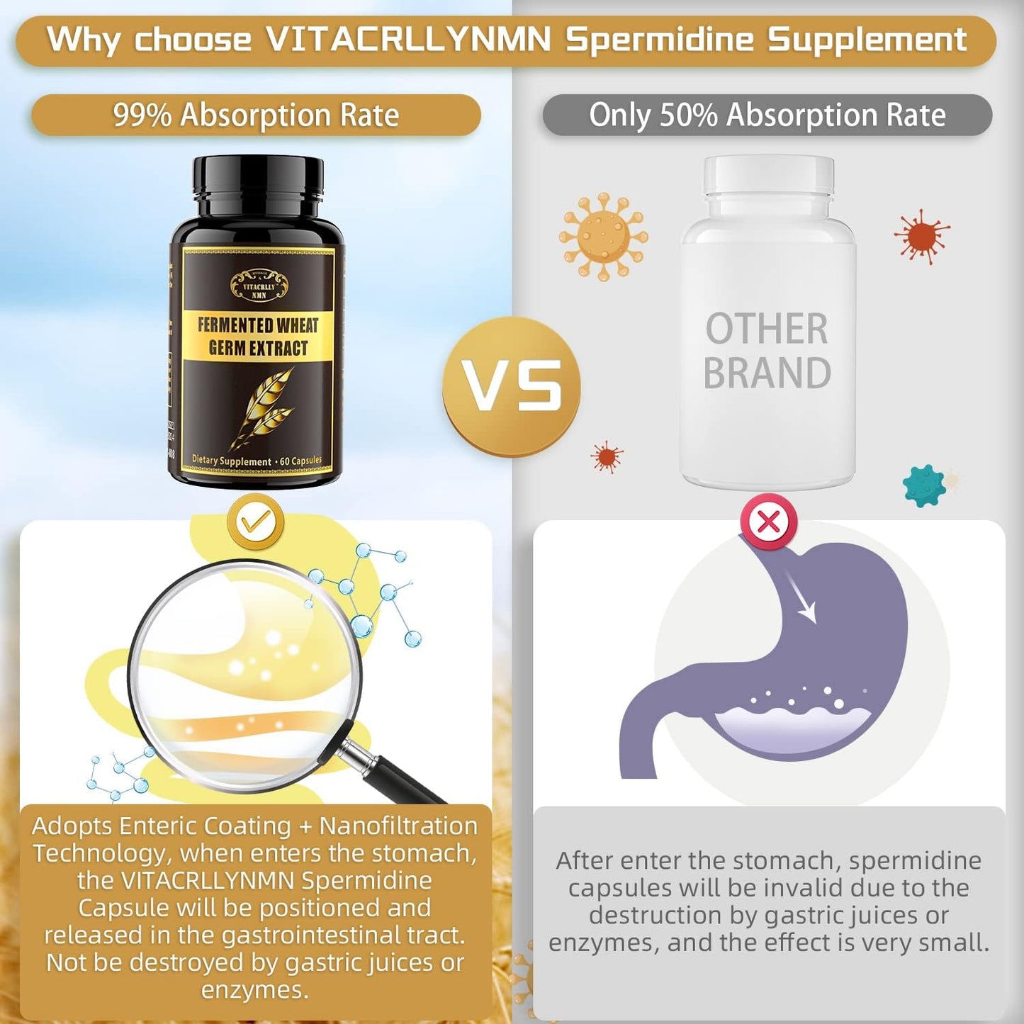 Highly Potent Spermidine Supplement Capsules with Wheat Germ Extract - 1000mg Formula Boosted with Zinc for Cell Renewal, Antioxidant Support, and Energy - 360 Capsules (6 Bottles)