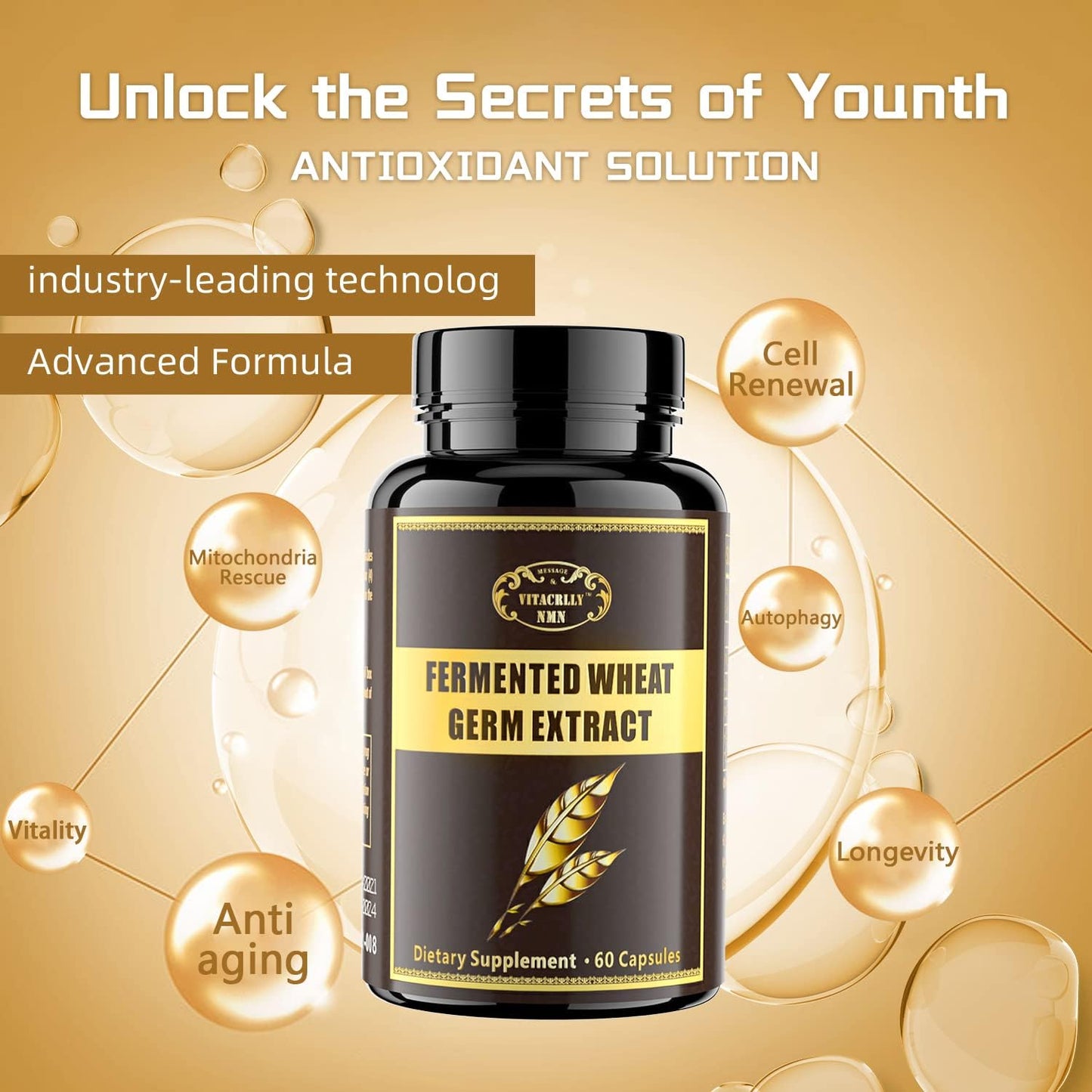 Highly Potent Spermidine Supplement Capsules with Wheat Germ Extract - 1000mg Formula Boosted with Zinc for Cell Renewal, Antioxidant Support, and Energy - 360 Capsules (6 Bottles)