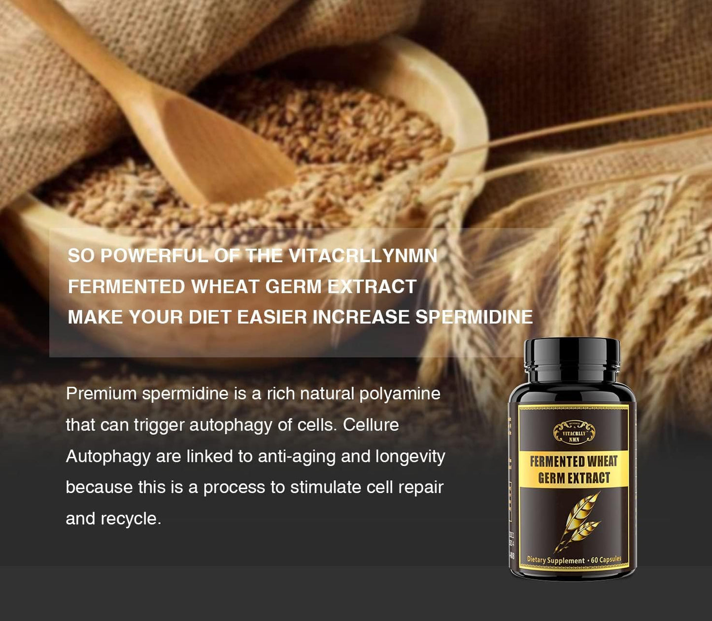 Highly Potent Spermidine Supplement Capsules with Wheat Germ Extract - 1000mg Formula Boosted with Zinc for Cell Renewal, Antioxidant Support, and Energy - 360 Capsules (6 Bottles)