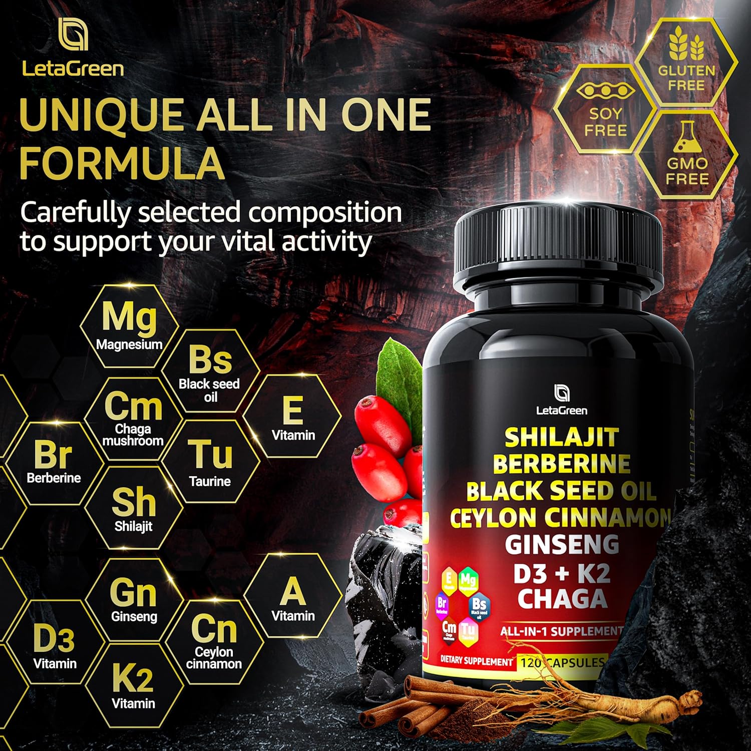 Himalayan Shilajit Capsules with Black Seed Oil, Berberine, Cinnamon, Ginseng, and Chaga - 10,000mg (120 Count) - All-in-One Fulvic Acid Supplement for Men & Women