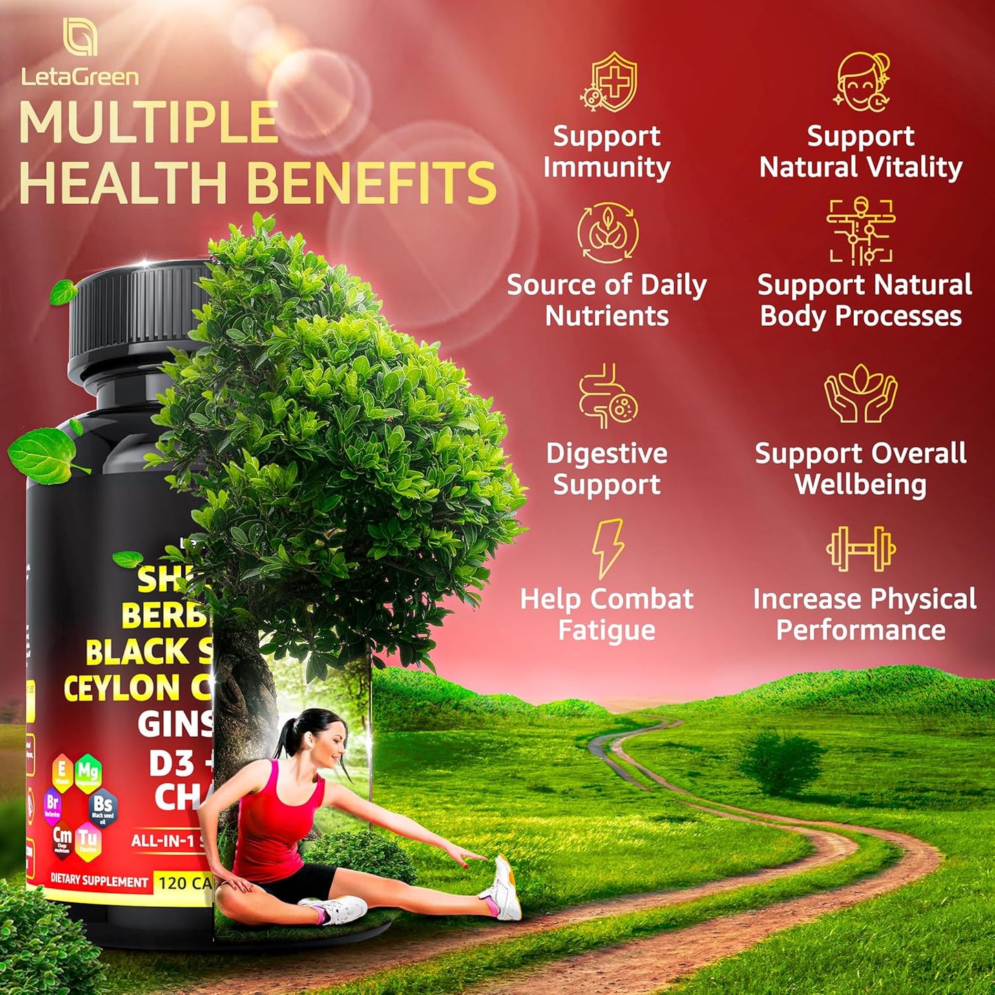 Himalayan Shilajit Capsules with Black Seed Oil, Berberine, Cinnamon, Ginseng, and Chaga - 10,000mg (120 Count) - All-in-One Fulvic Acid Supplement for Men & Women