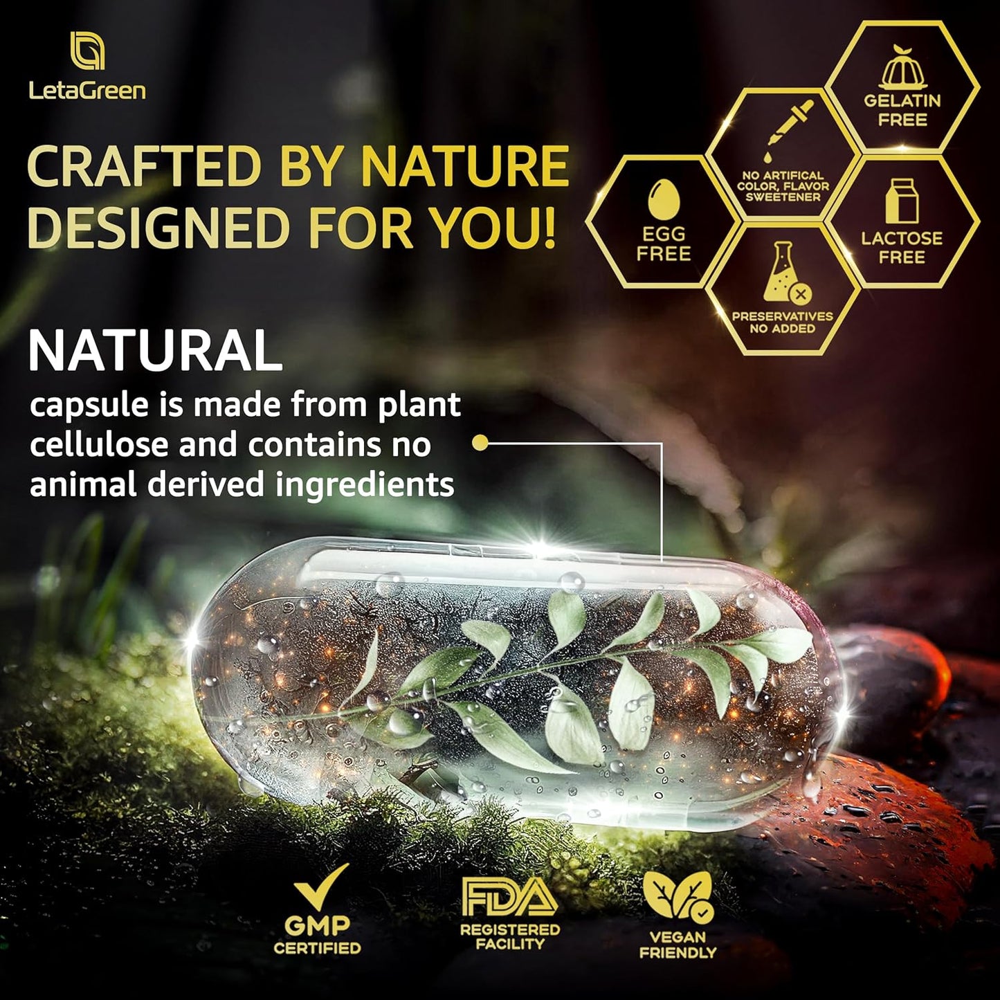 Himalayan Shilajit Capsules with Black Seed Oil, Berberine, Cinnamon, Ginseng, and Chaga - 10,000mg (120 Count) - All-in-One Fulvic Acid Supplement for Men & Women