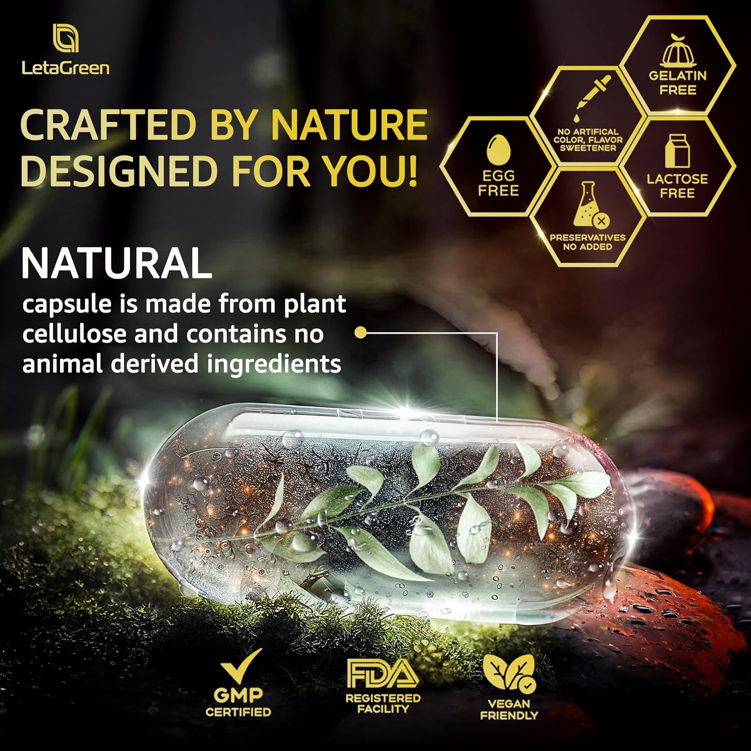 Himalayan Shilajit Capsules with Black Seed Oil, Berberine, Cinnamon, Ginseng, and Chaga - 10,000mg (120 Count) - All-in-One Fulvic Acid Supplement for Men & Women