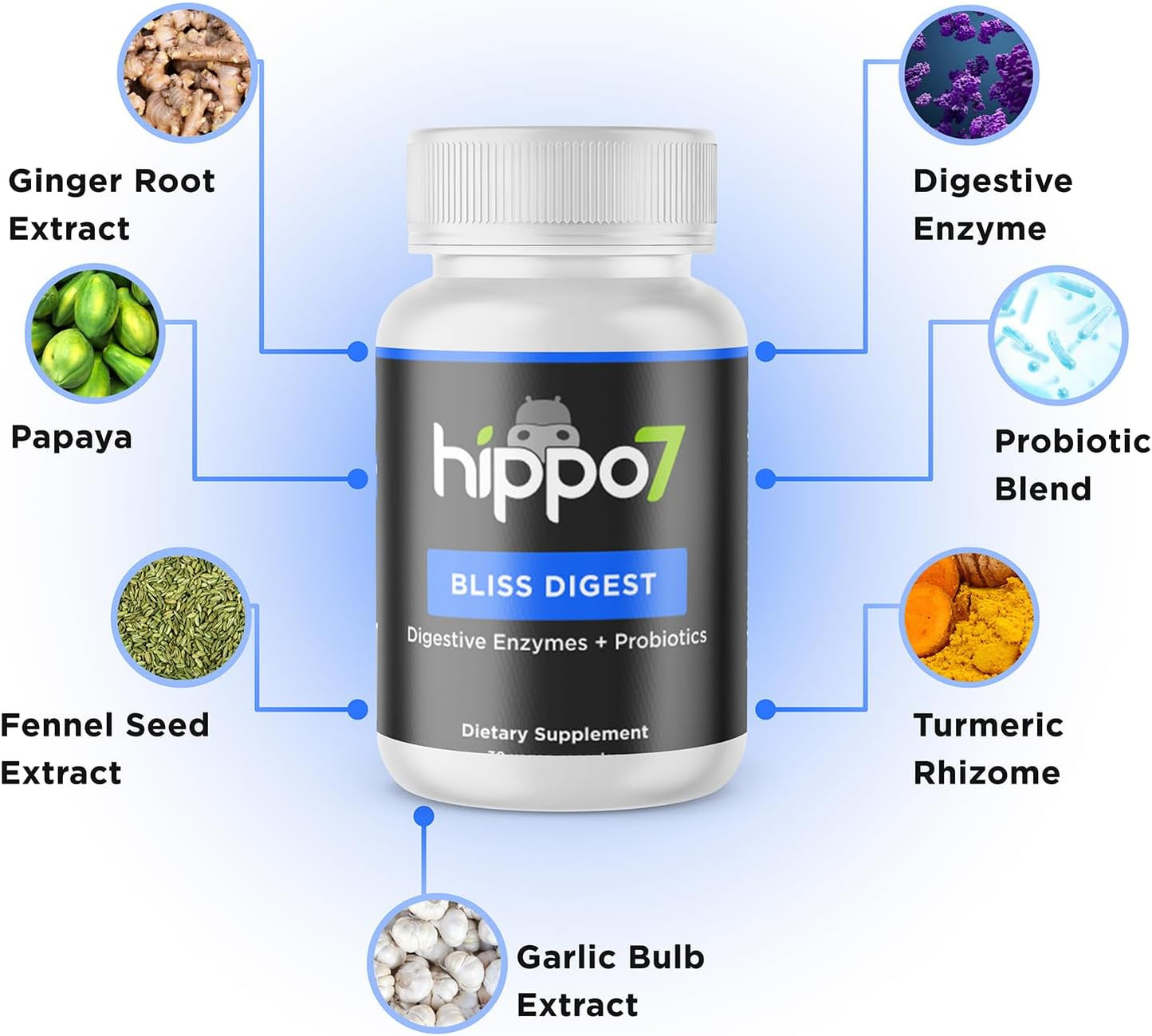 Hippo7 Bliss Digestive Health Supplement - 7-in-1 Probiotics & Enzymes for Gut Health - Women & Men - 30 Vegan Capsules