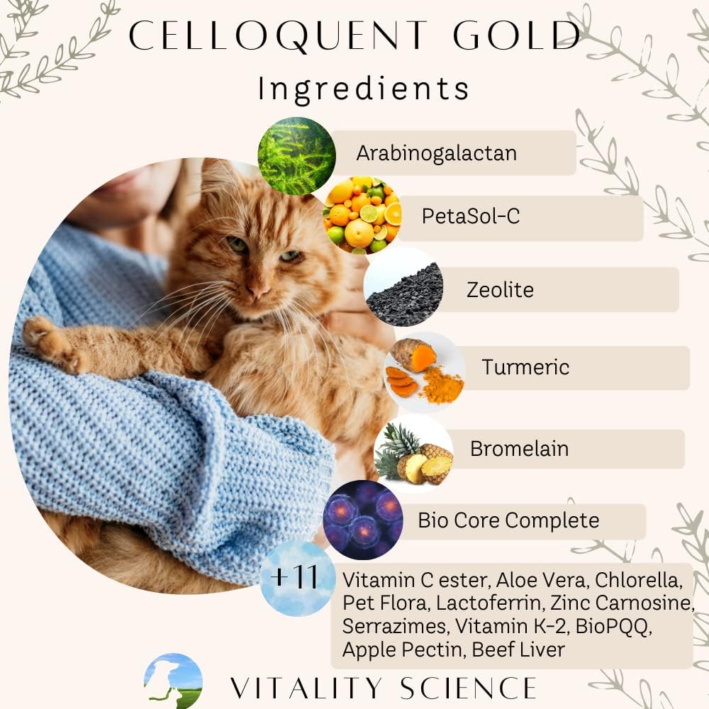 Holistic Advanced Immune Support Supplement for Cats with 17 Synergistic Ingredients | Vitality Science Celloquent Gold | Auto Immune, Vomit, Diarrhea, Depression Relief (220g)