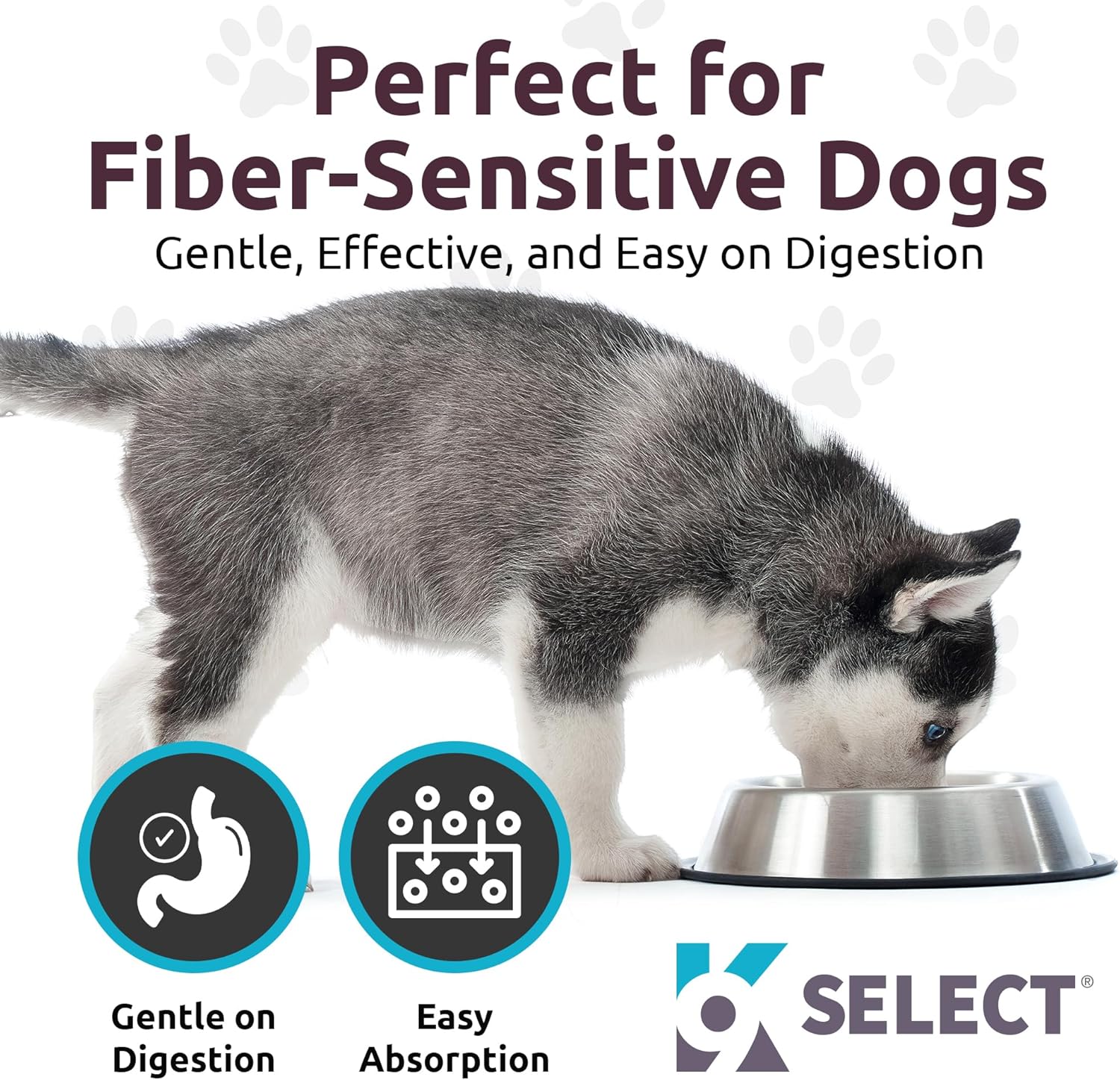 Holistic Dog Health Supplement with Norway Spruce Extract - Immune Support, Digestion & Coat Care - 90 Peanut Butter Tablets, 20mg