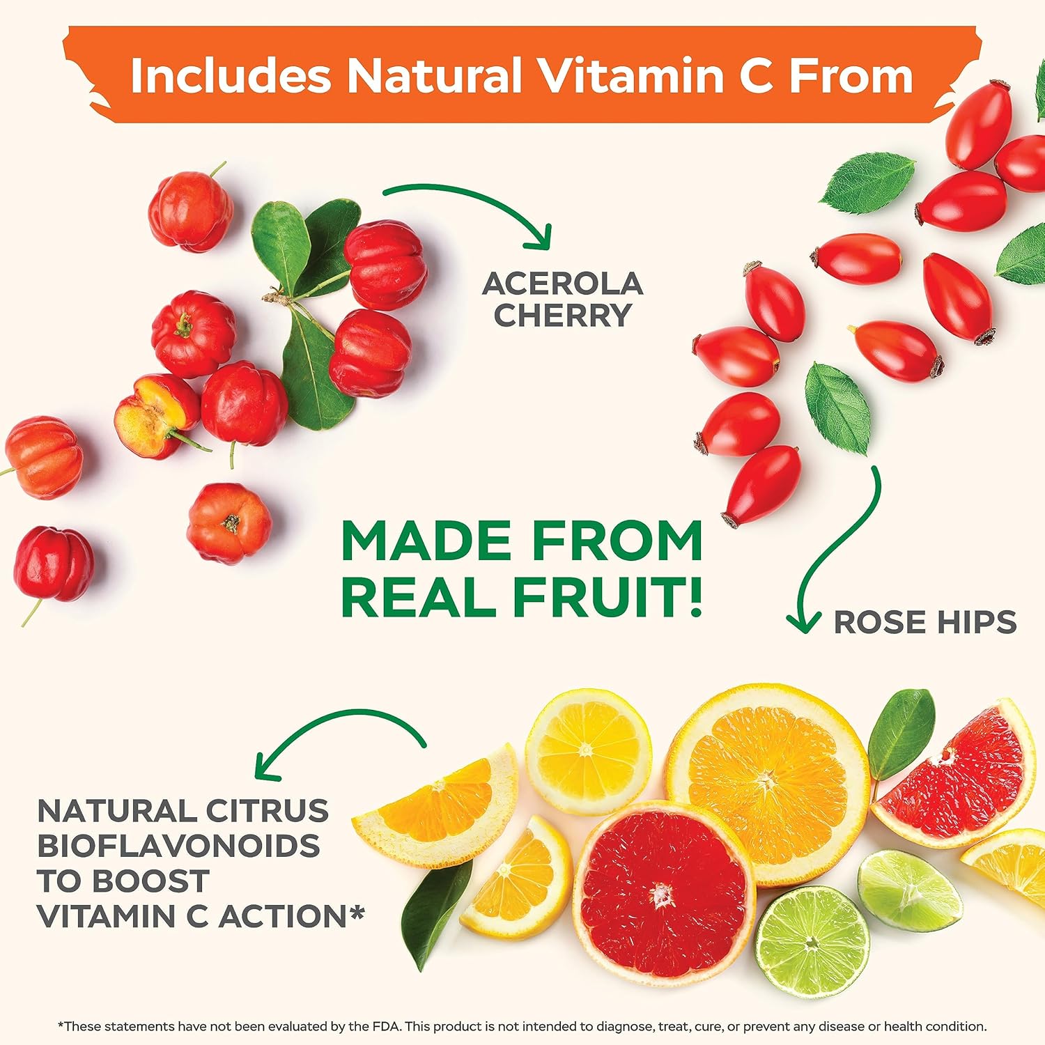 Holistic Vitamin C 1000mg & Elderberry Syrup Bundle - 365 Vegan Capsules + 16 fl oz - Rosehip, Acerola Cherry, Propolis Echinacea - USA Made
