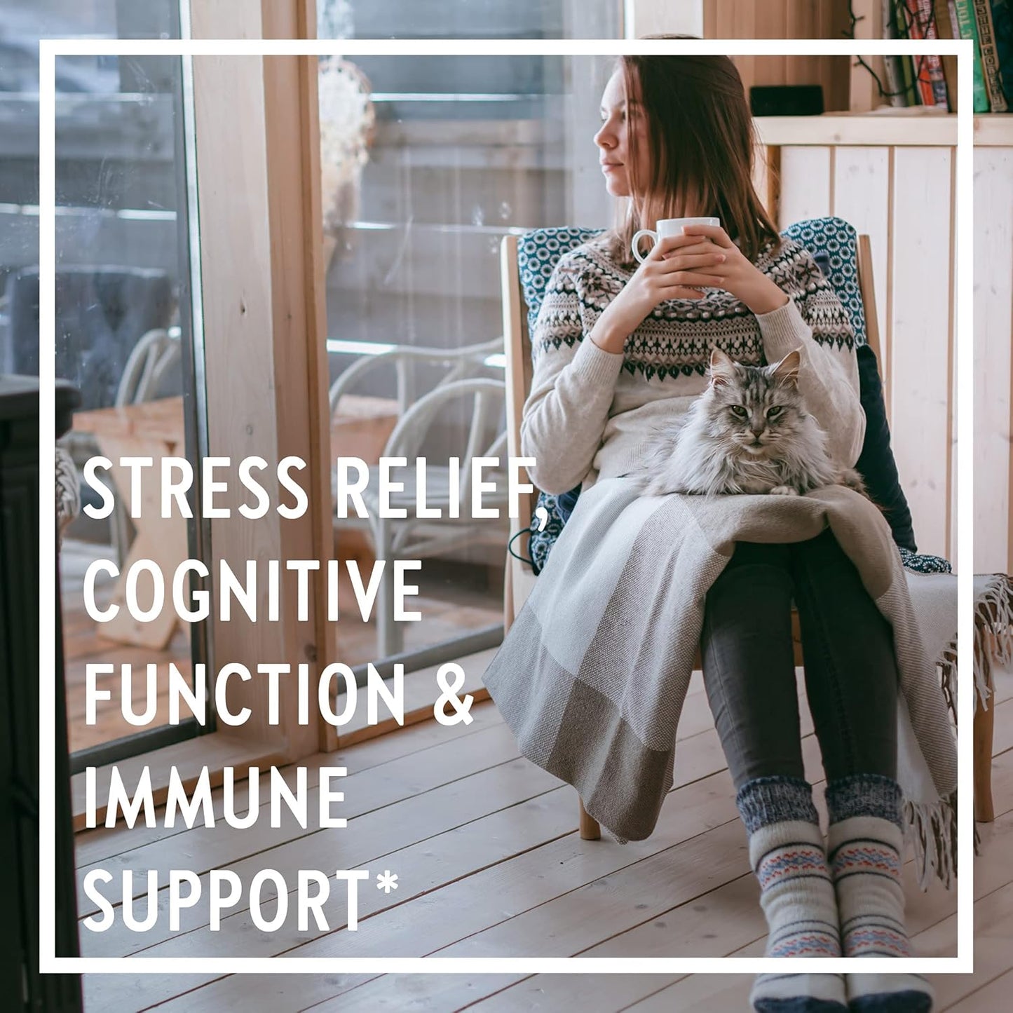 Holy Basil Force Supplement for Stress & Immune Support - Non-GMO Vegetarian Capsules (30 Count)