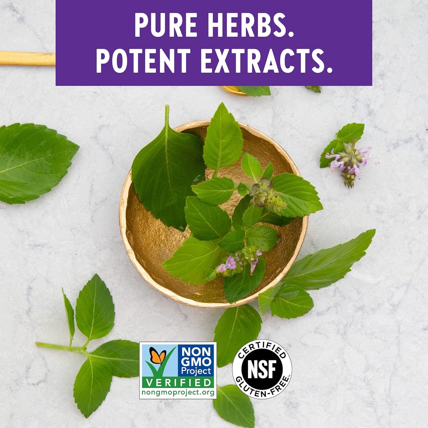 Holy Basil Force Supplement for Stress & Immune Support - Non-GMO Vegetarian Capsules (30 Count)