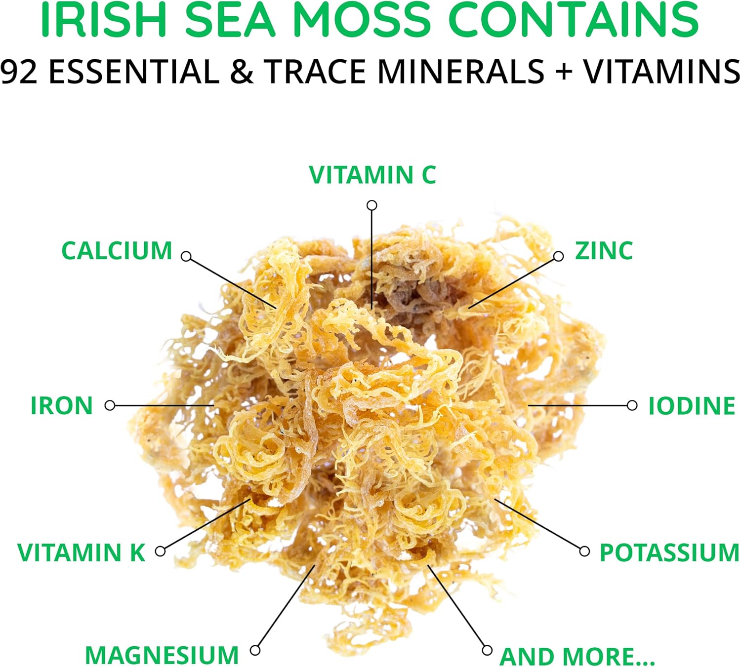 Hormone Balance & Sea Moss Superfood Capsules Bundle - 180ct & 60ct - Happy Healthy Hippie