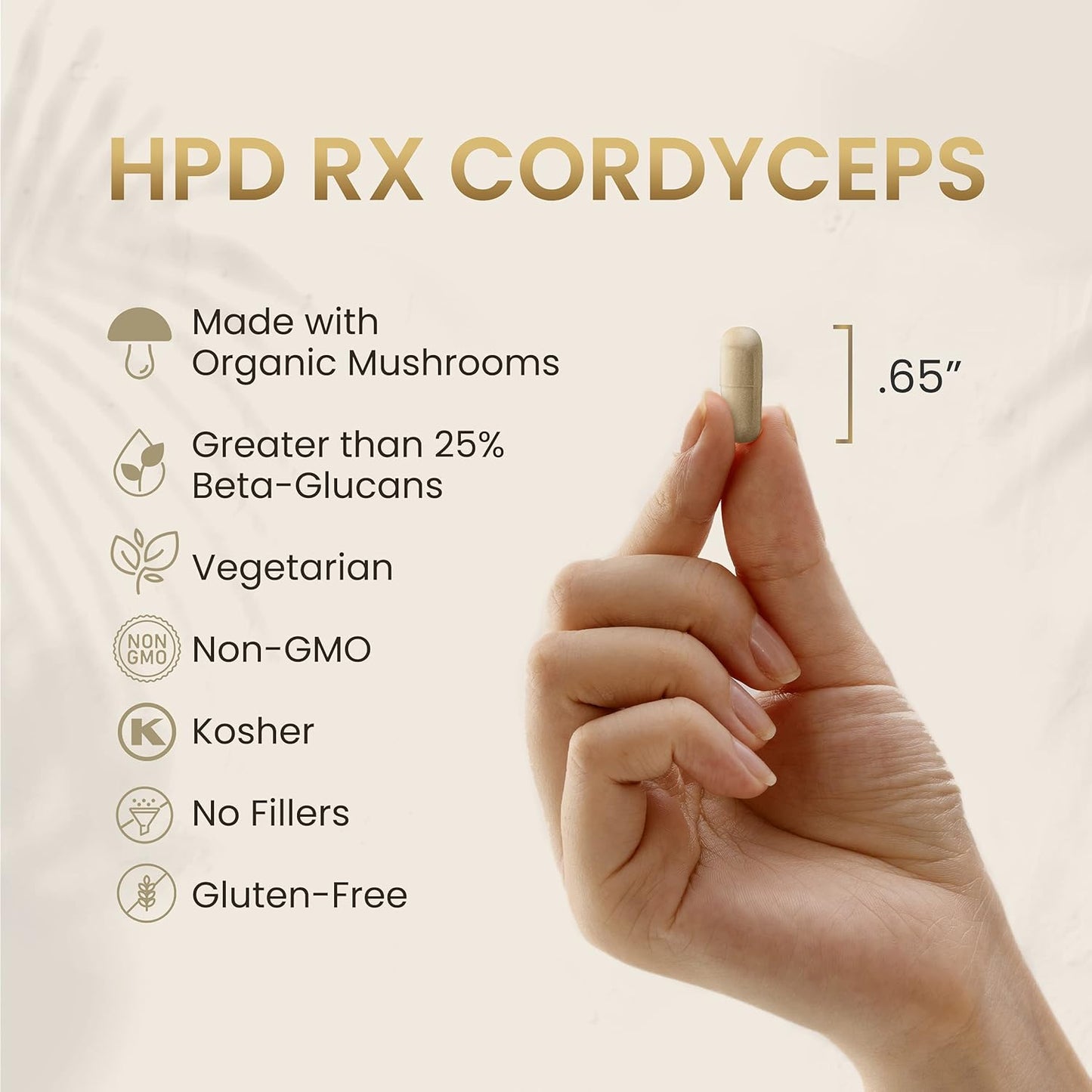 HPD Rx Premium Organic Cordyceps Mushroom Extract Supplement | Boost Energy, Endurance, & Immunity | 2250mg, 240 Capsules (2-Pack)