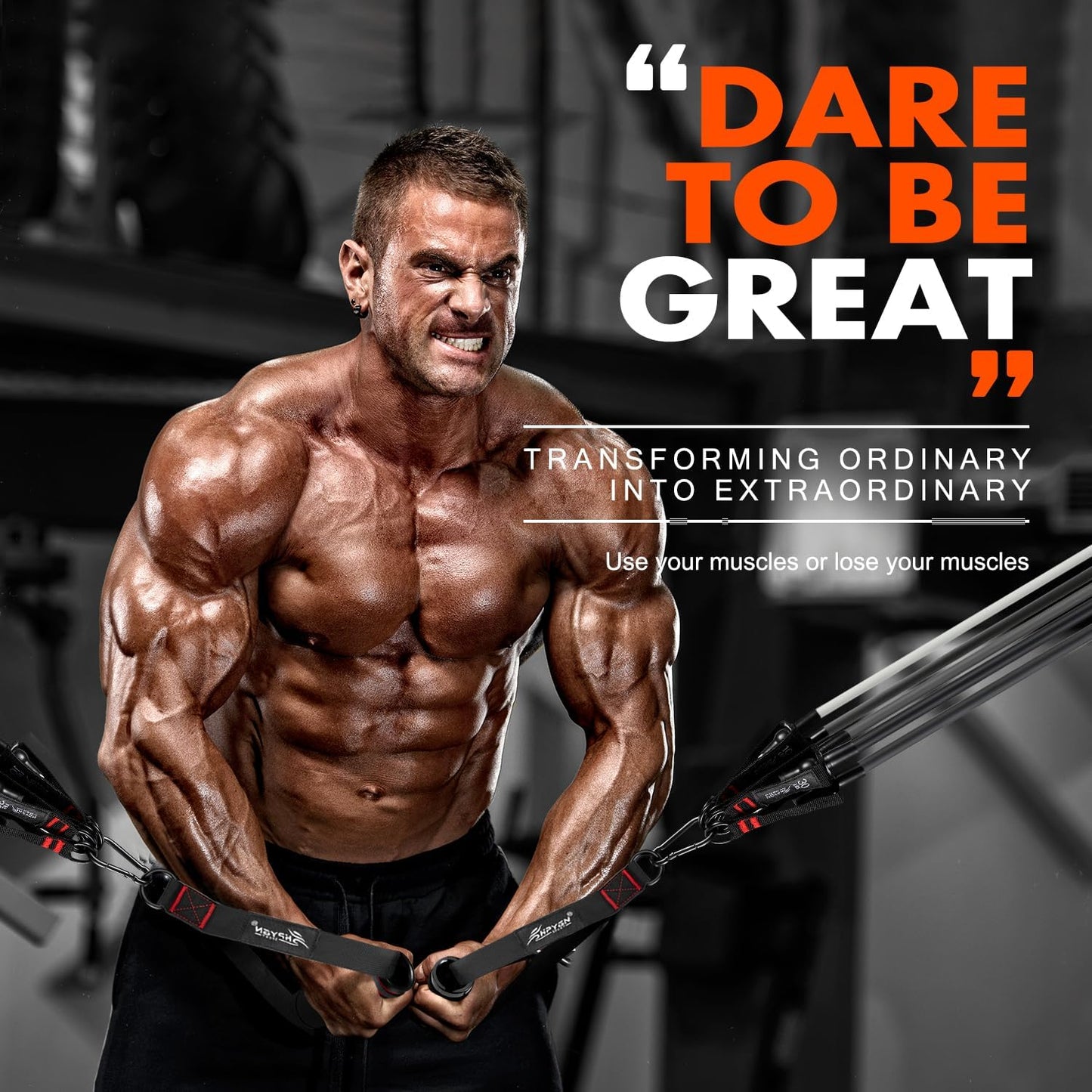 HPYGN Resistance Bands Set with Handles, Door Anchor, Ankle Straps - Heavy Resistance Training, Physical Therapy, Yoga, Home Workout - Fitness Bands for Body Shaping