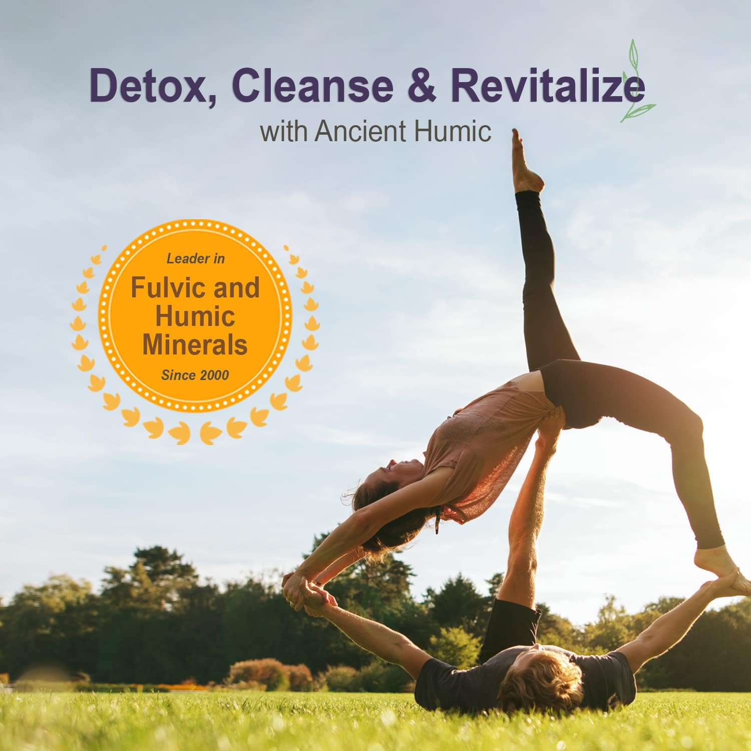 Humic Minerals Capsules - Alkalizing Mineral Supplement with 70+ Trace Minerals and Fulvic Acid for Detox and Gut Health, 120 Count