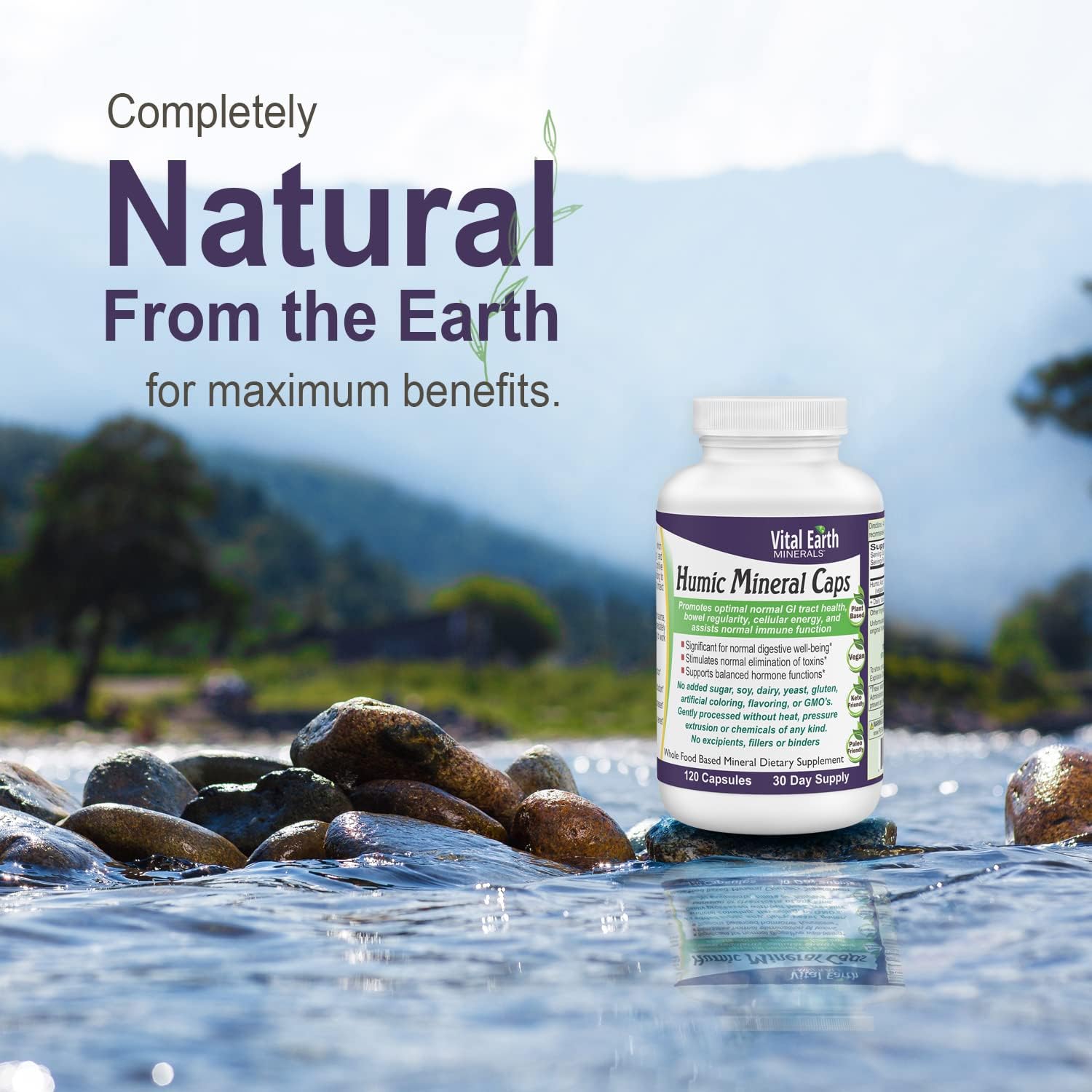 Humic Minerals Capsules - Alkalizing Mineral Supplement with 70+ Trace Minerals and Fulvic Acid for Detox and Gut Health, 120 Count